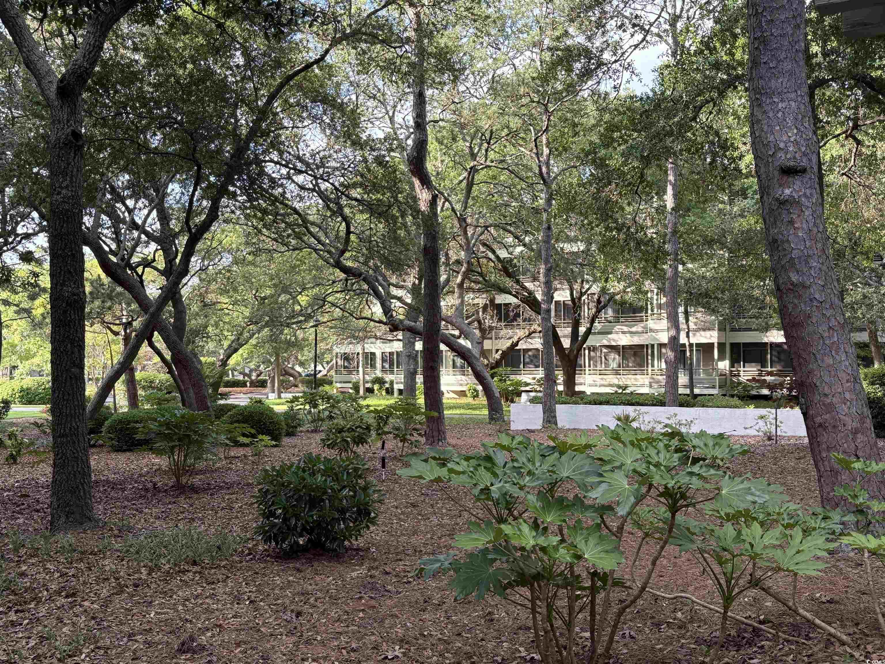 415 Ocean Creek Dr. Property Photo 1