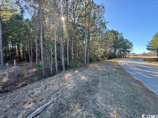 Tbd Lot 3 Night Owl Ln. Property Photo 1