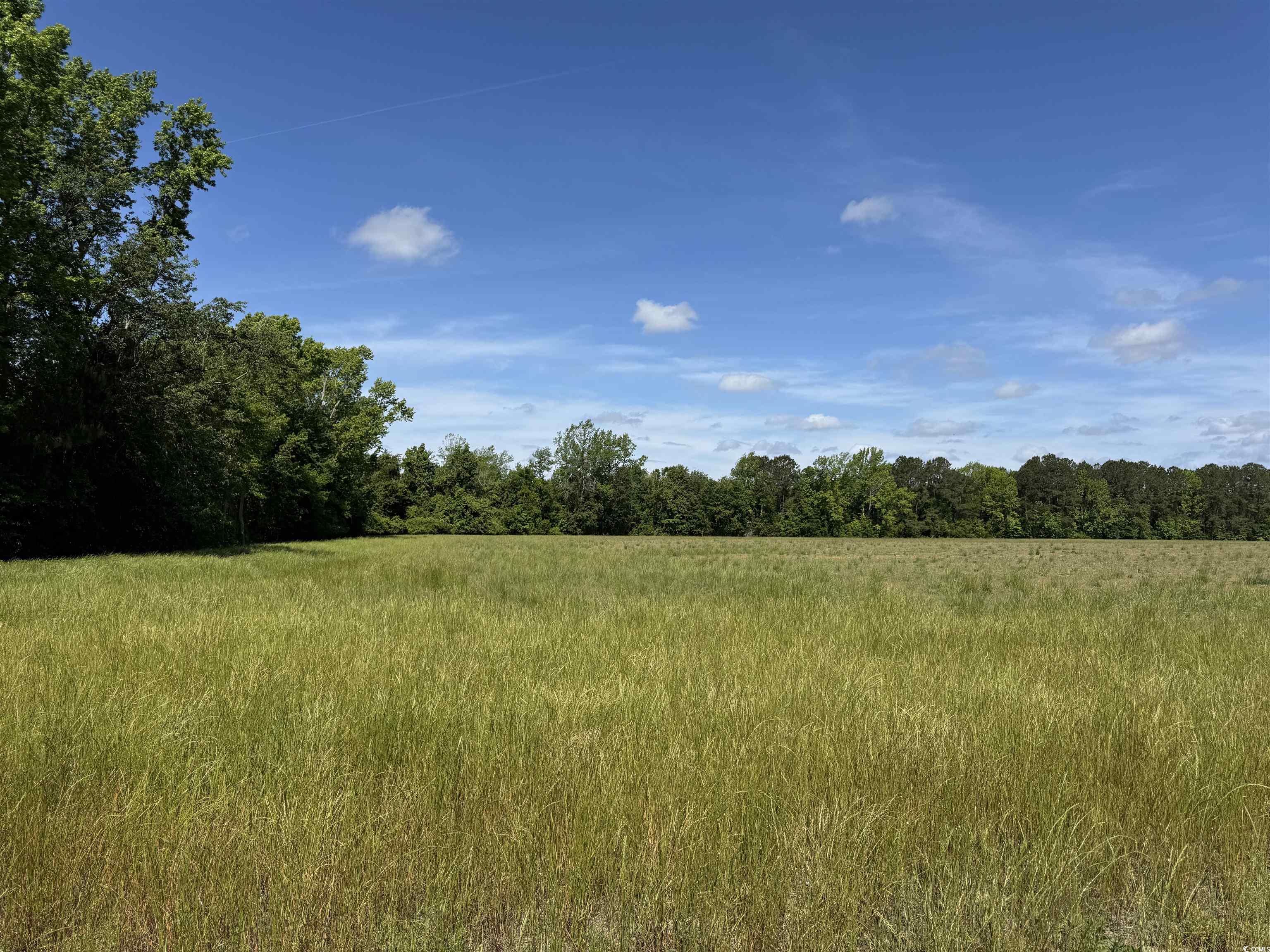 4615 Grainger Circle Property Photo 4