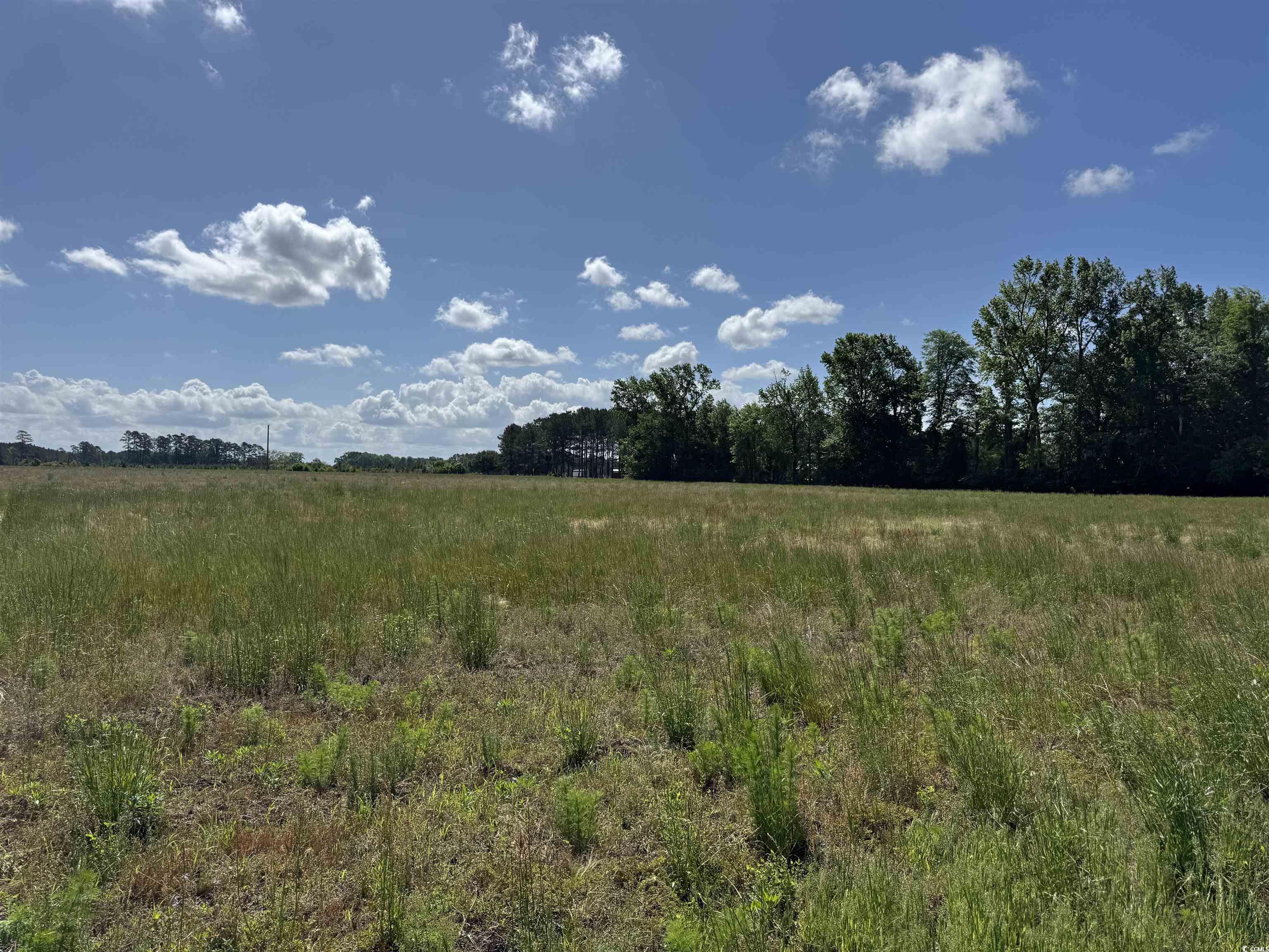 4615 Grainger Circle Property Photo 11