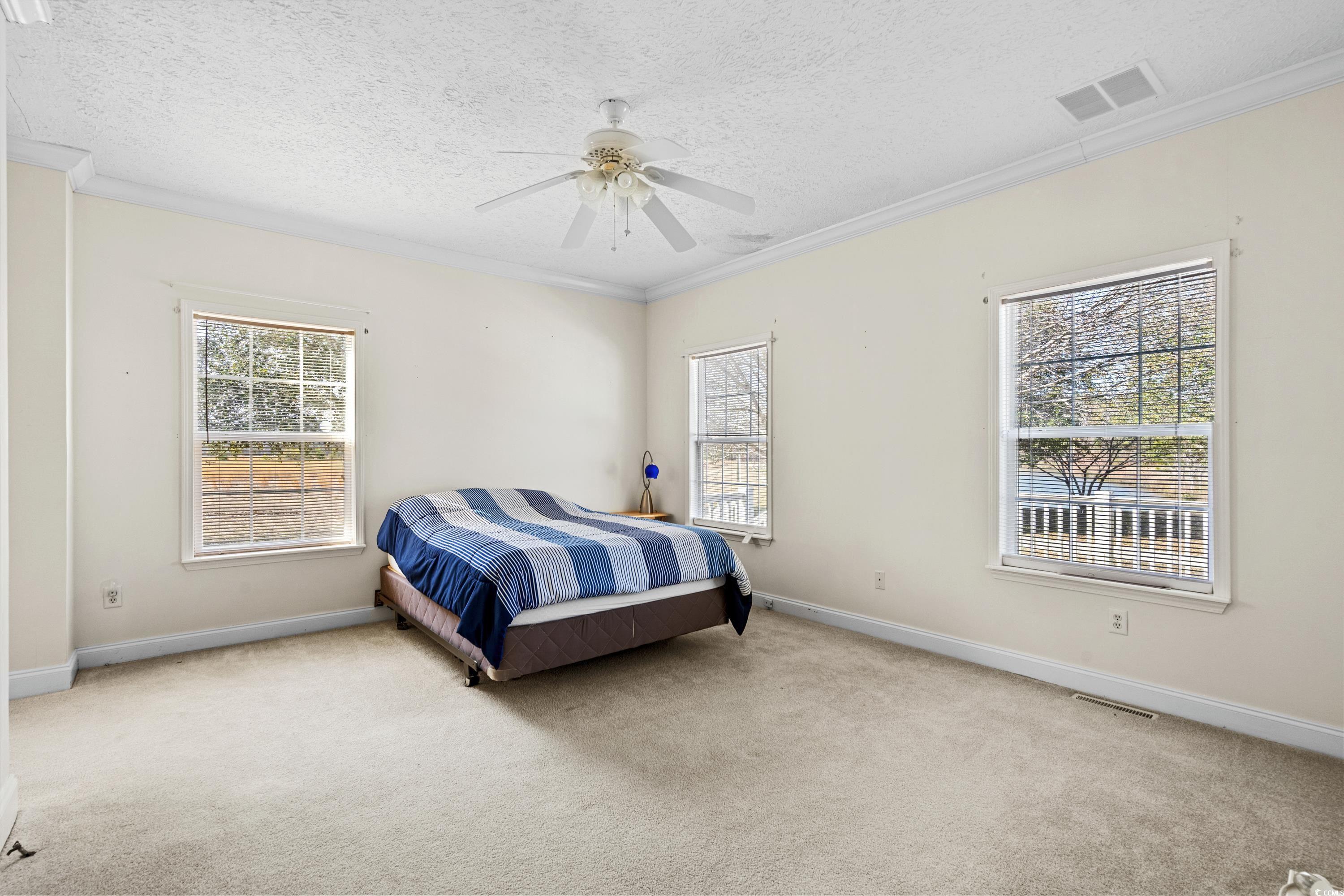 589 Loop Circle Property Photo 18