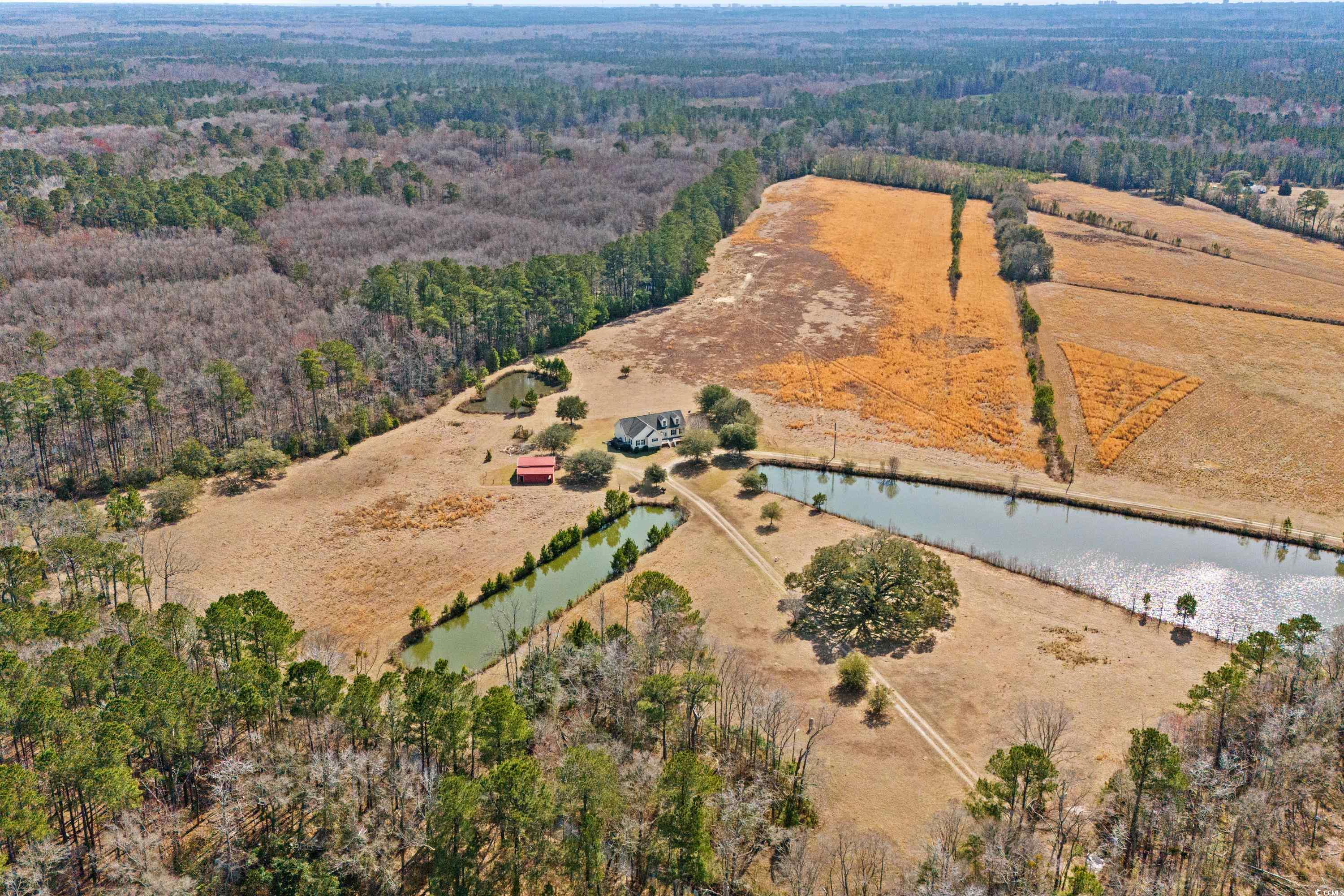 589 Loop Circle Property Photo 31