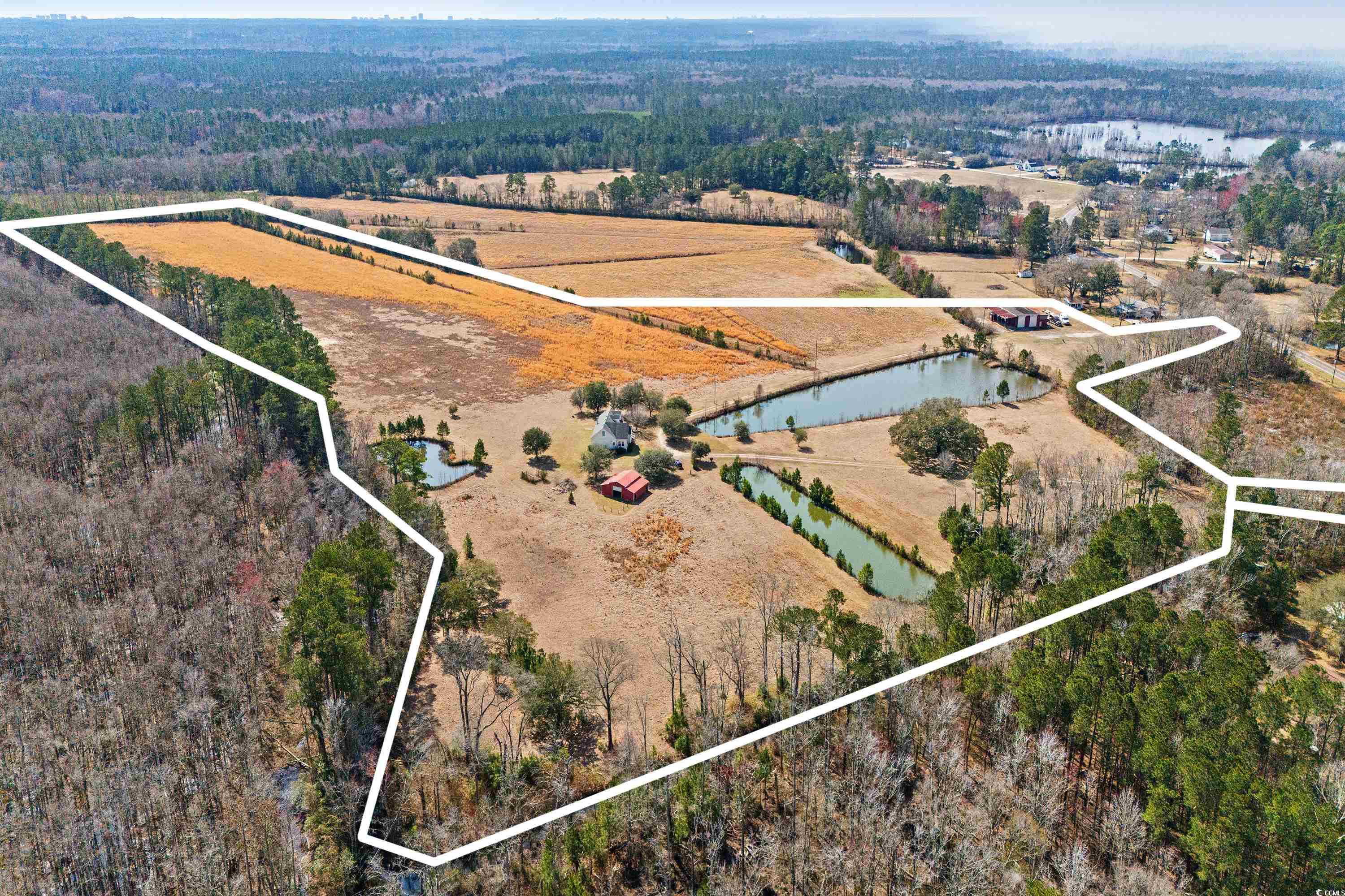 589 Loop Circle Property Photo 32