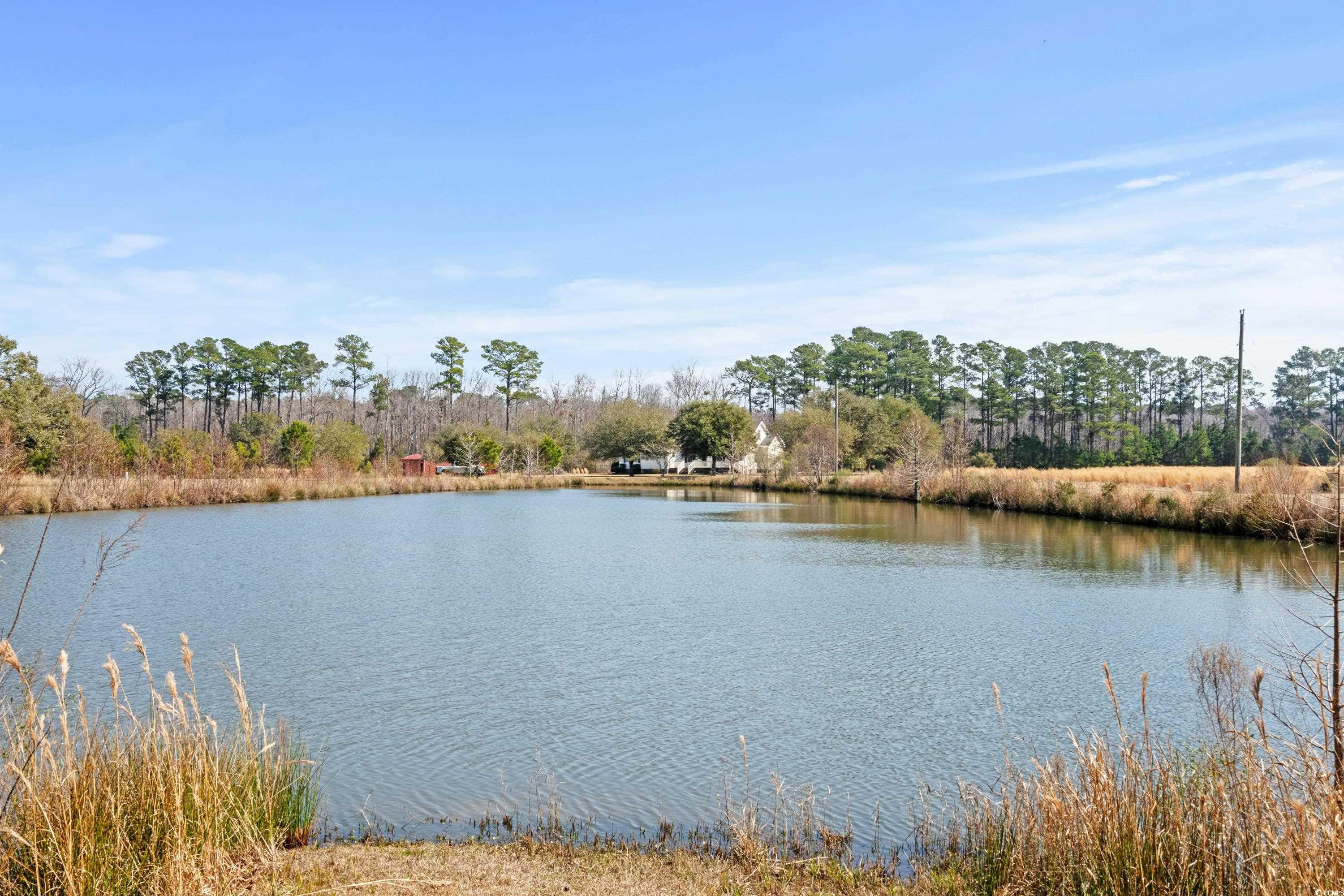 589 Loop Circle Property Photo 35