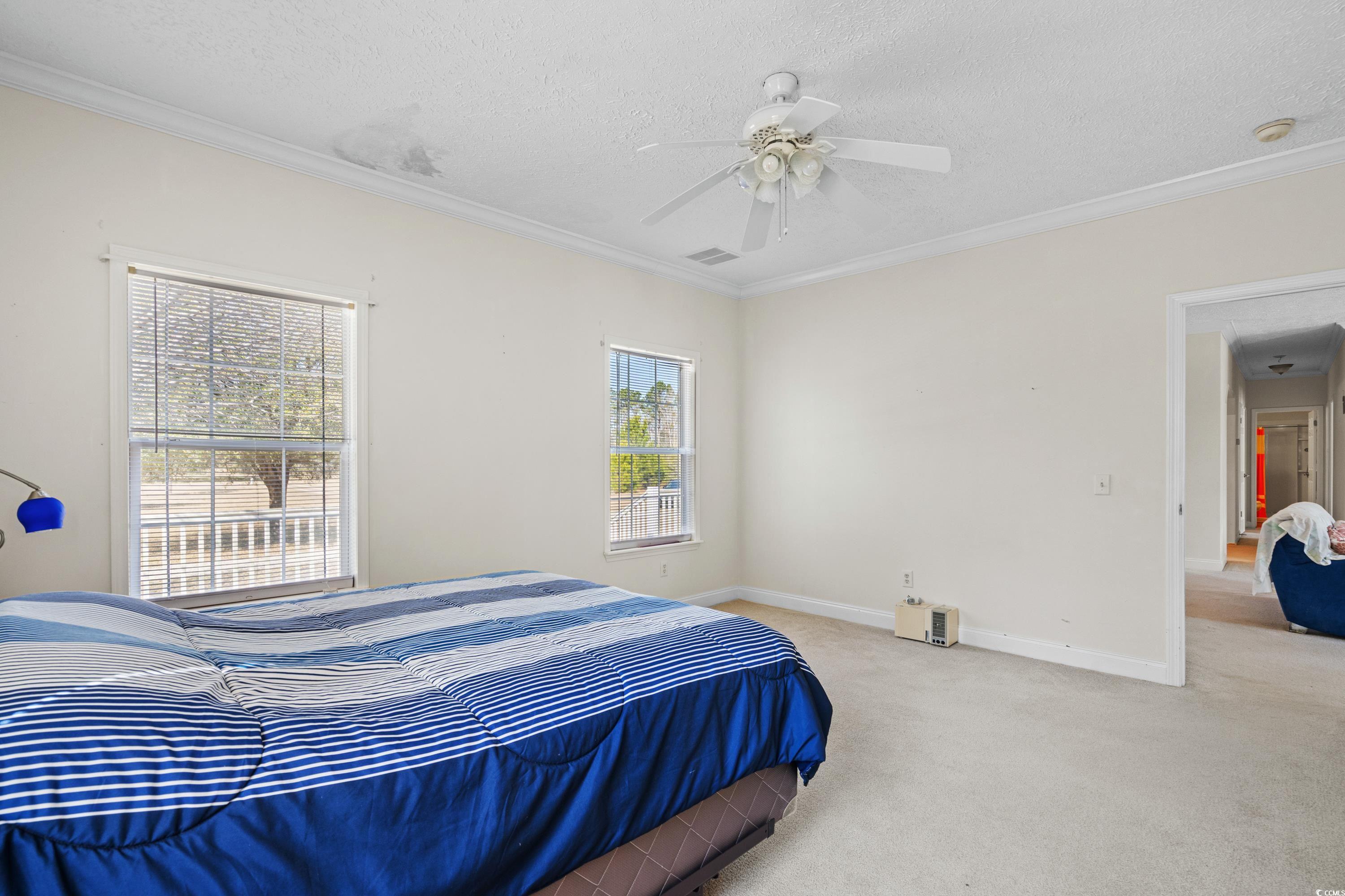589 Loop Circle Property Photo 19