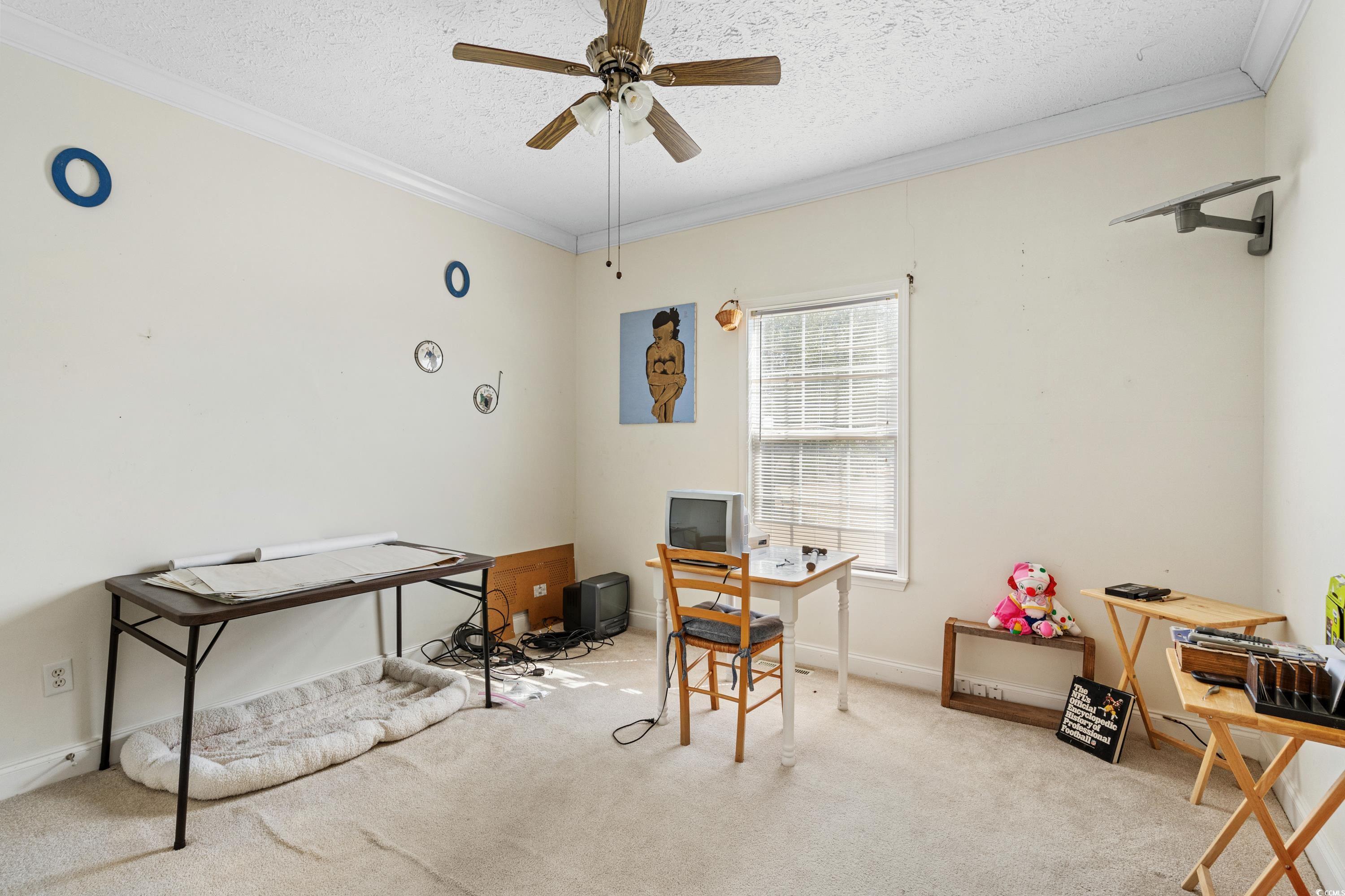 589 Loop Circle Property Photo 23