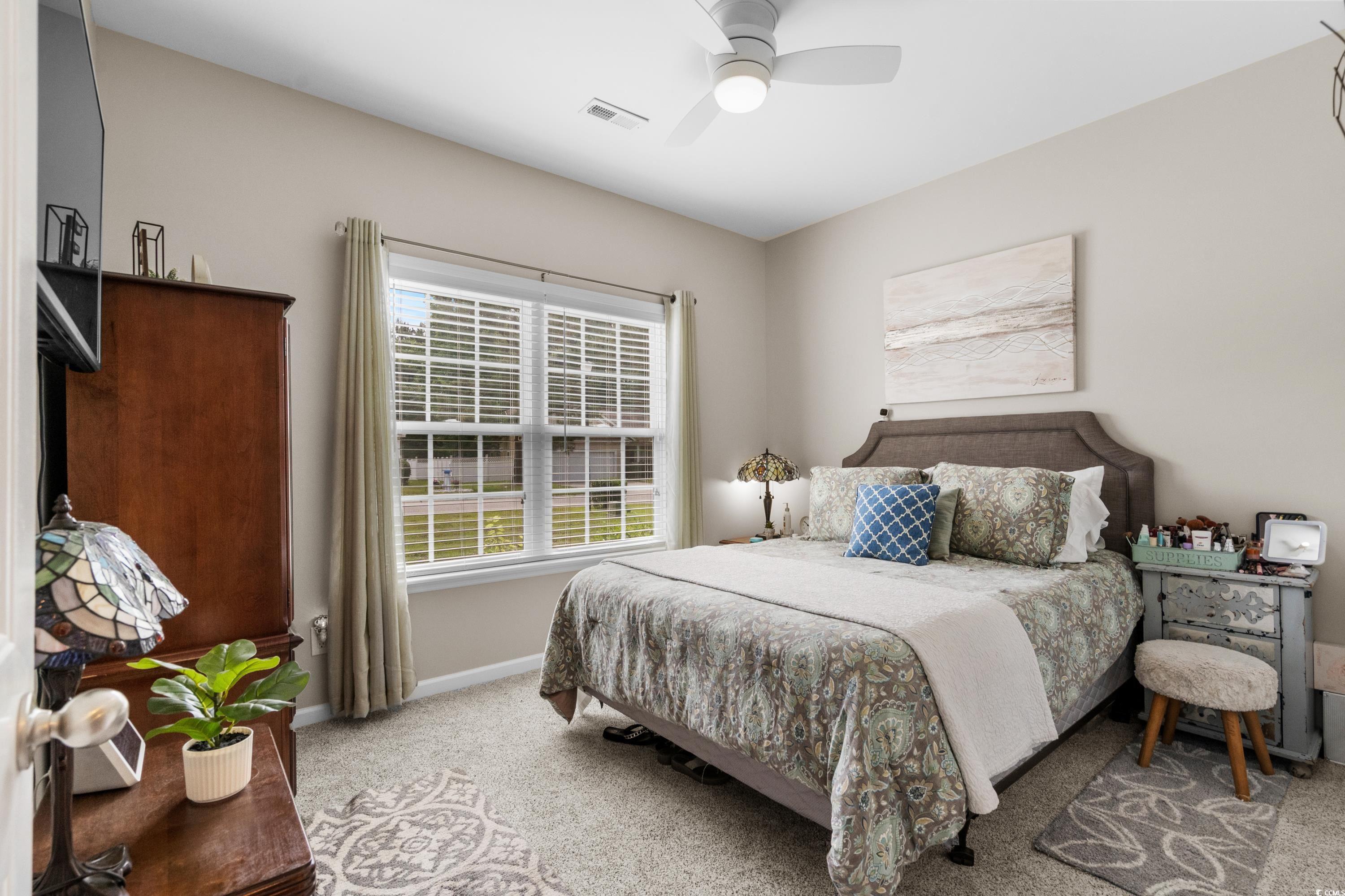 319 Pickney Ct. Property Photo 18