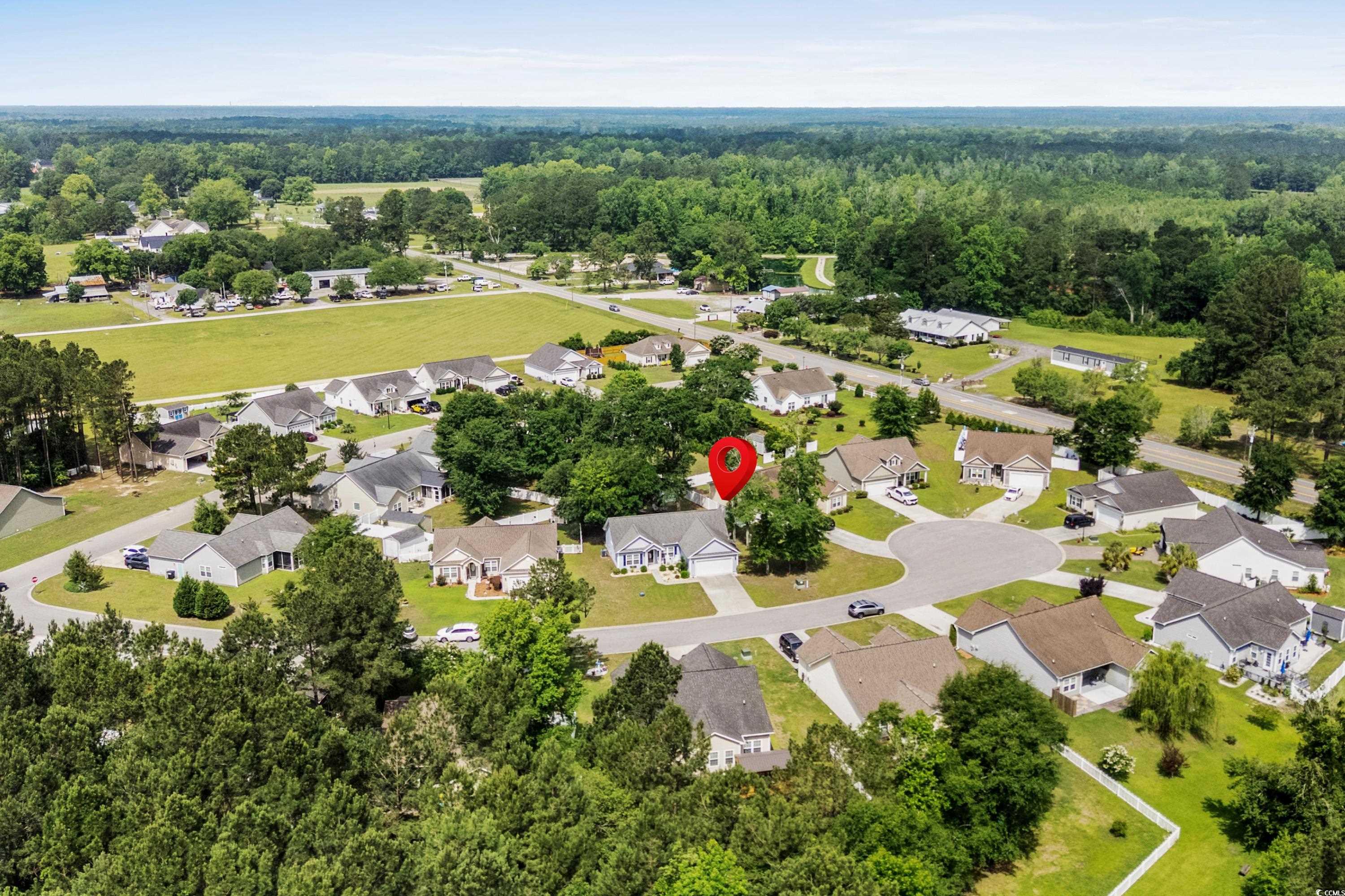 319 Pickney Ct. Property Photo 37