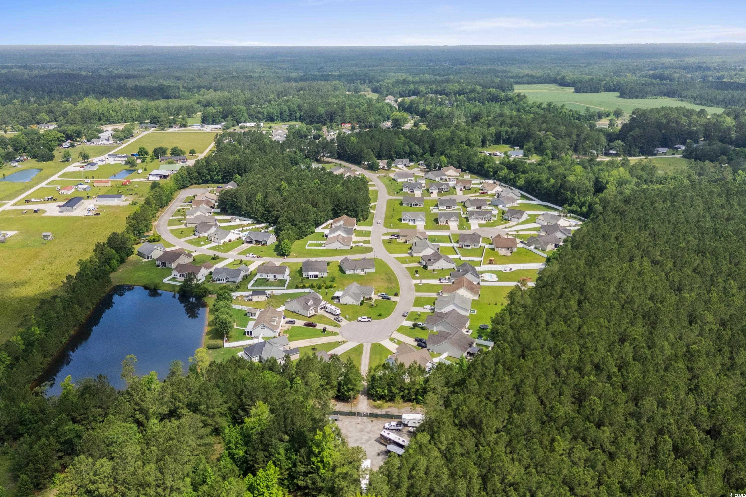 319 Pickney Ct. Property Photo 39