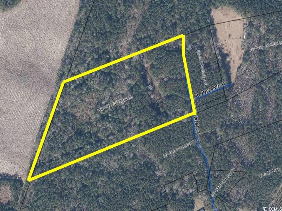 Tbd Thatchpalm Ct. Property Photo 1