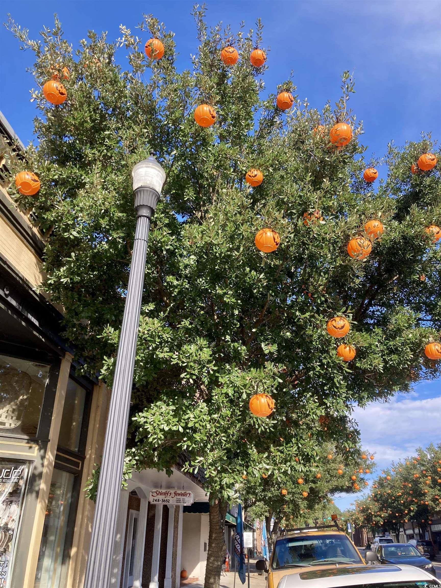 126 Westfield Circle Property Photo 36