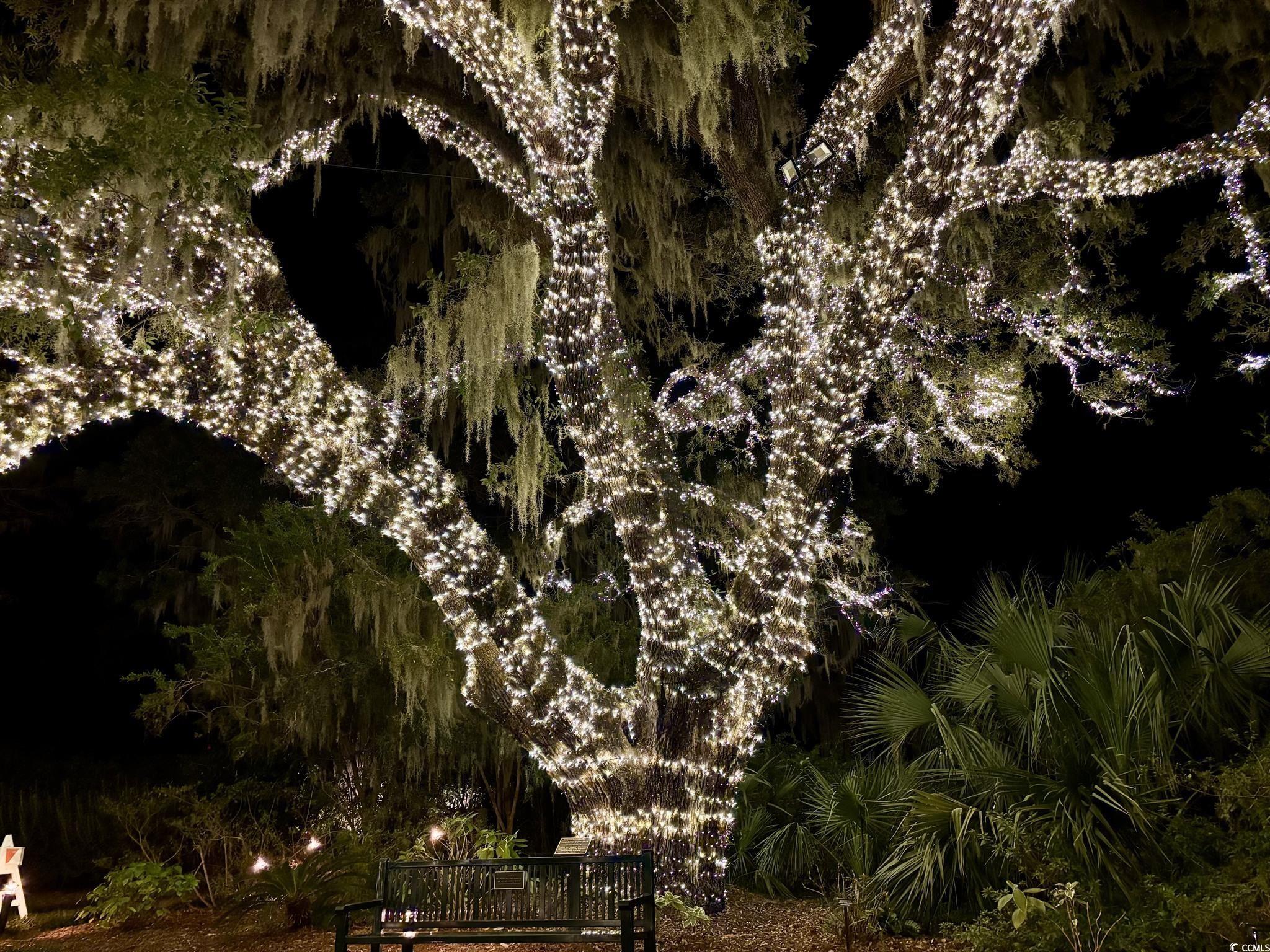 126 Westfield Circle Property Photo 39