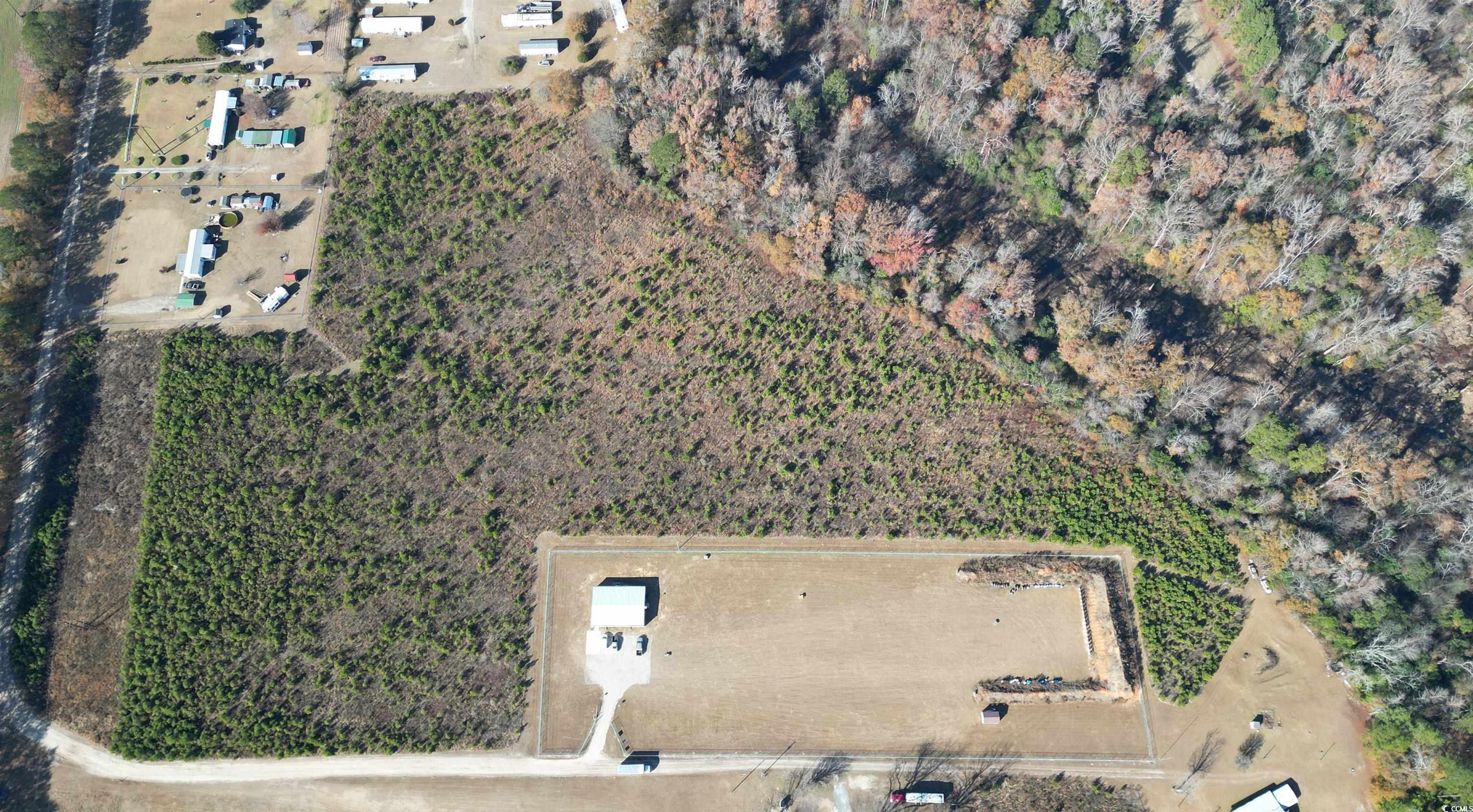 19.6 Acres Case St. Property Photo 3