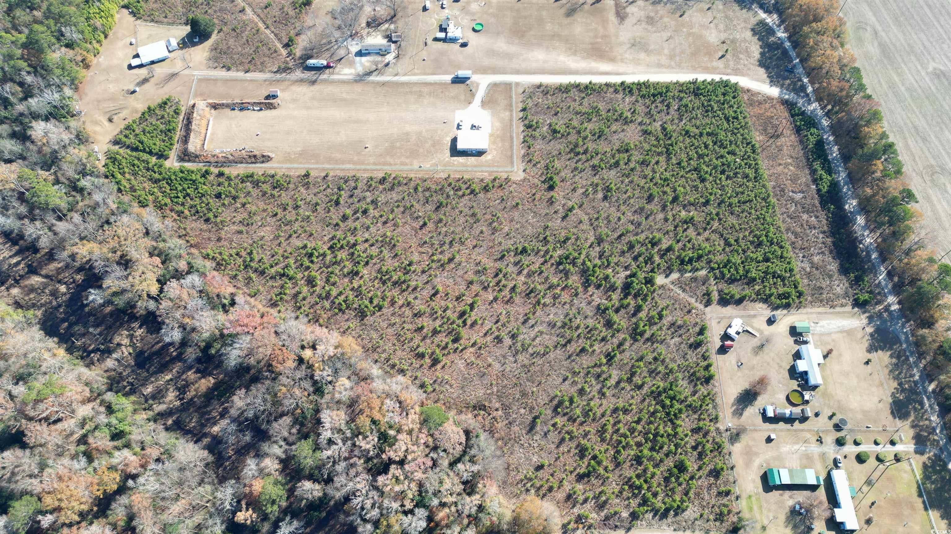19.6 Acres Case St. Property Photo 5