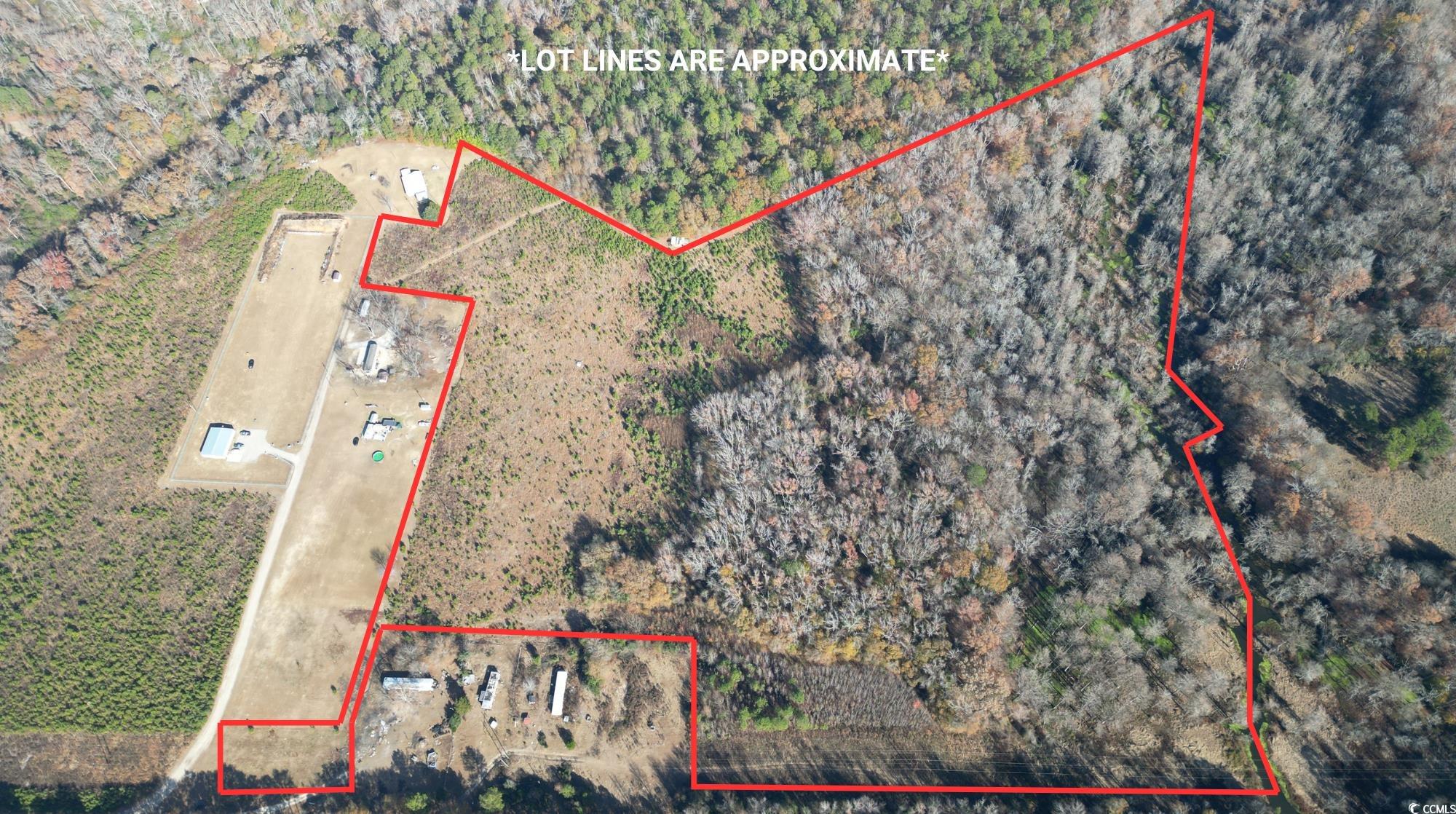 42.5 Acres Case St. Property Photo 2