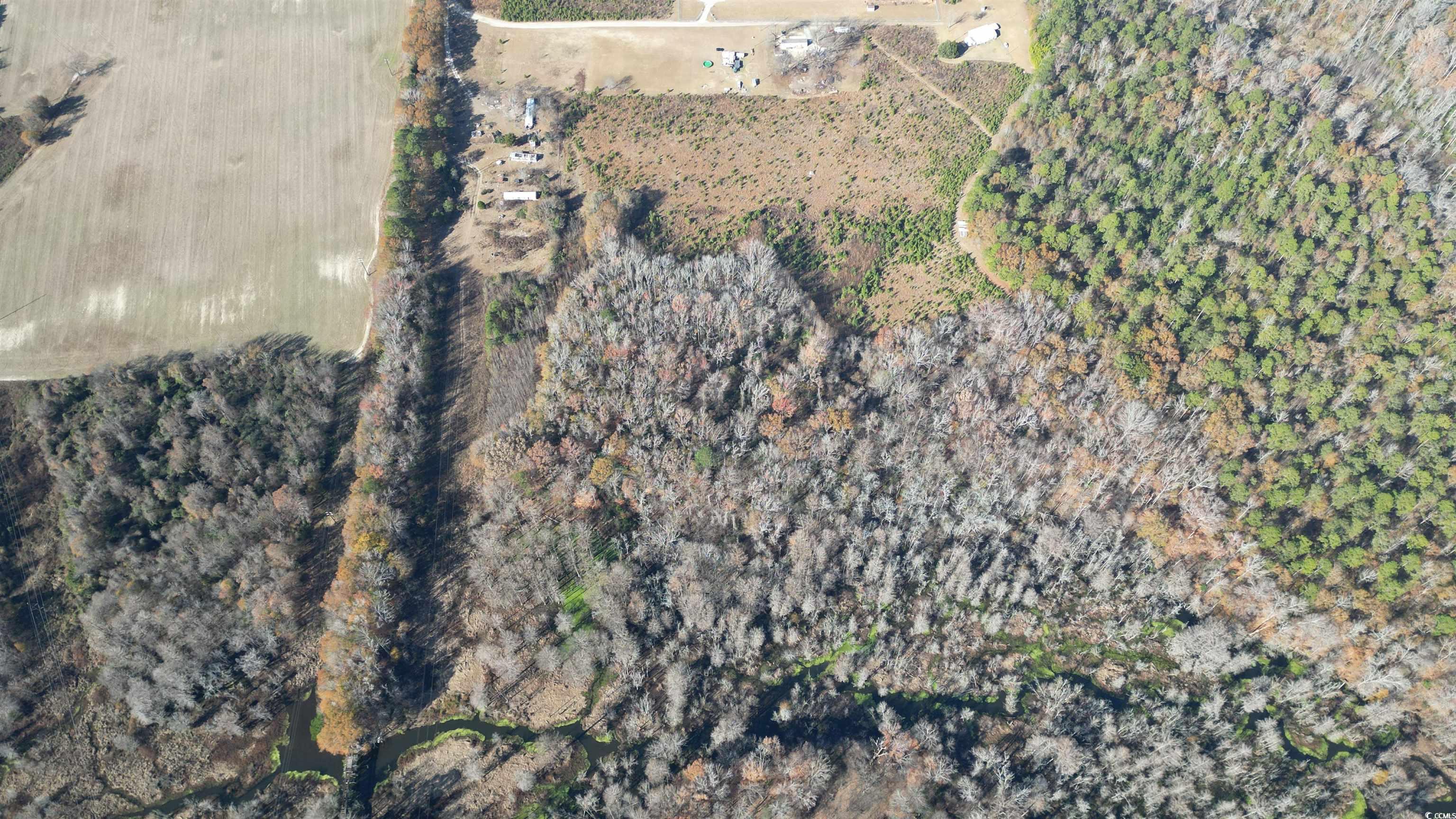 42.5 Acres Case St. Property Photo 3