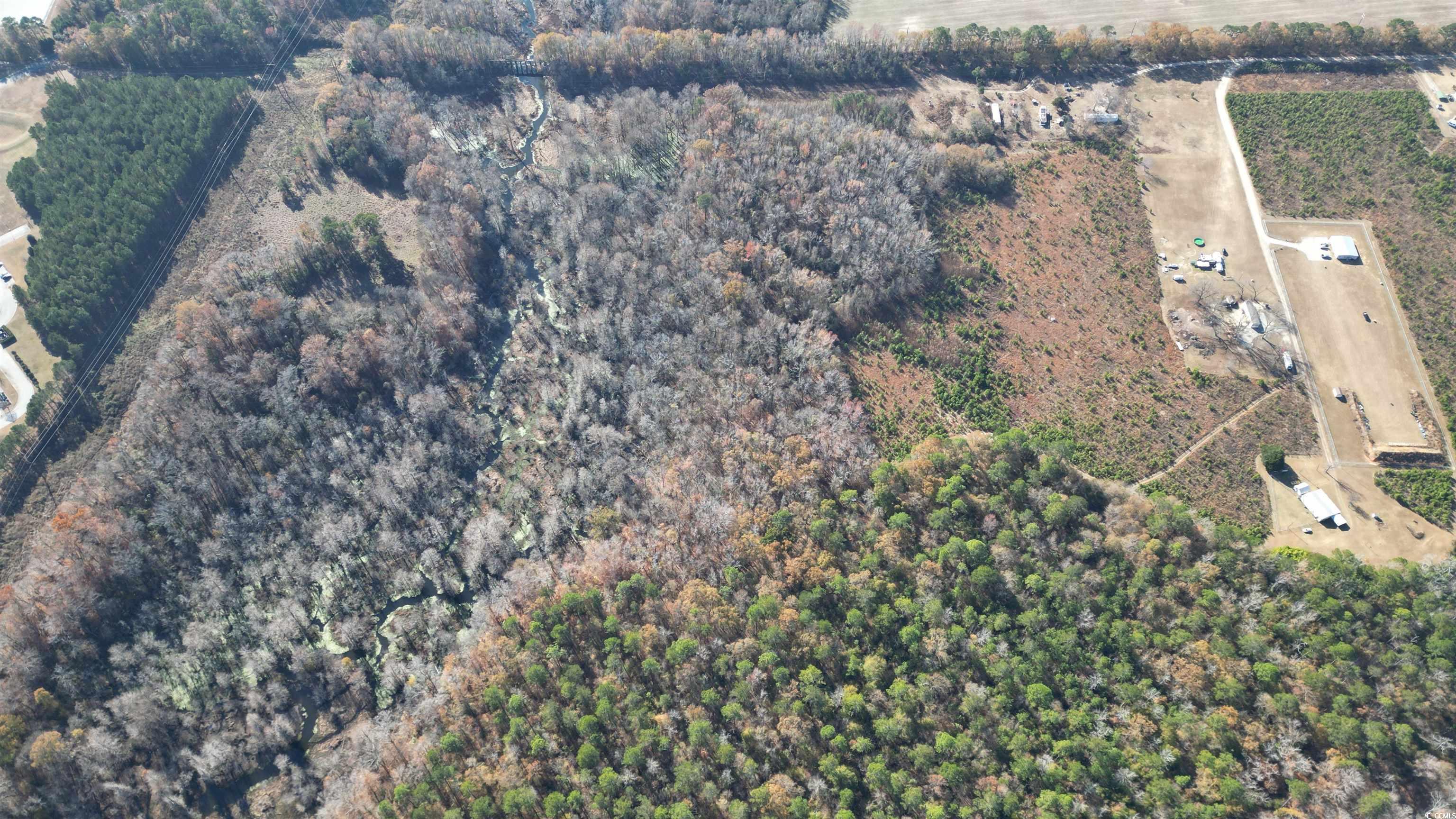 42.5 Acres Case St. Property Photo 4