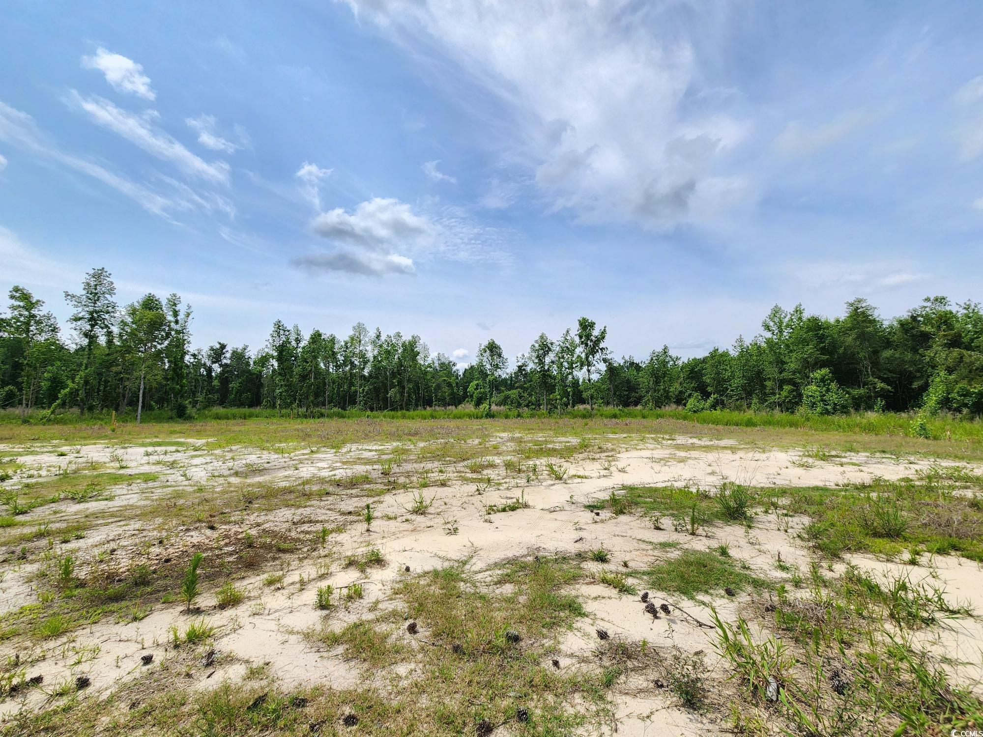 5375 Long Branch Swamp Rd. Property Photo 1