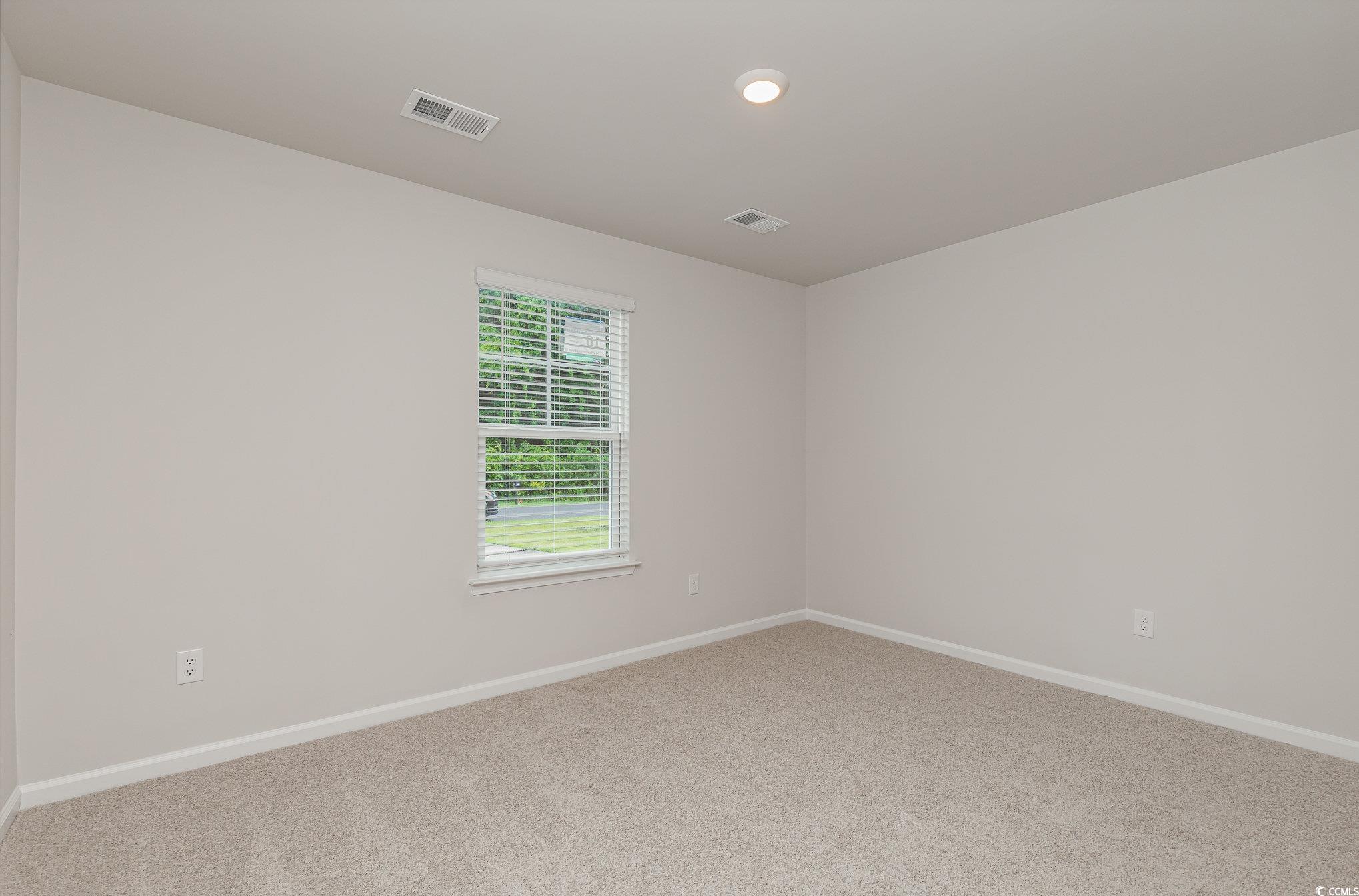 226 Carver Willow Dr. Property Photo 19