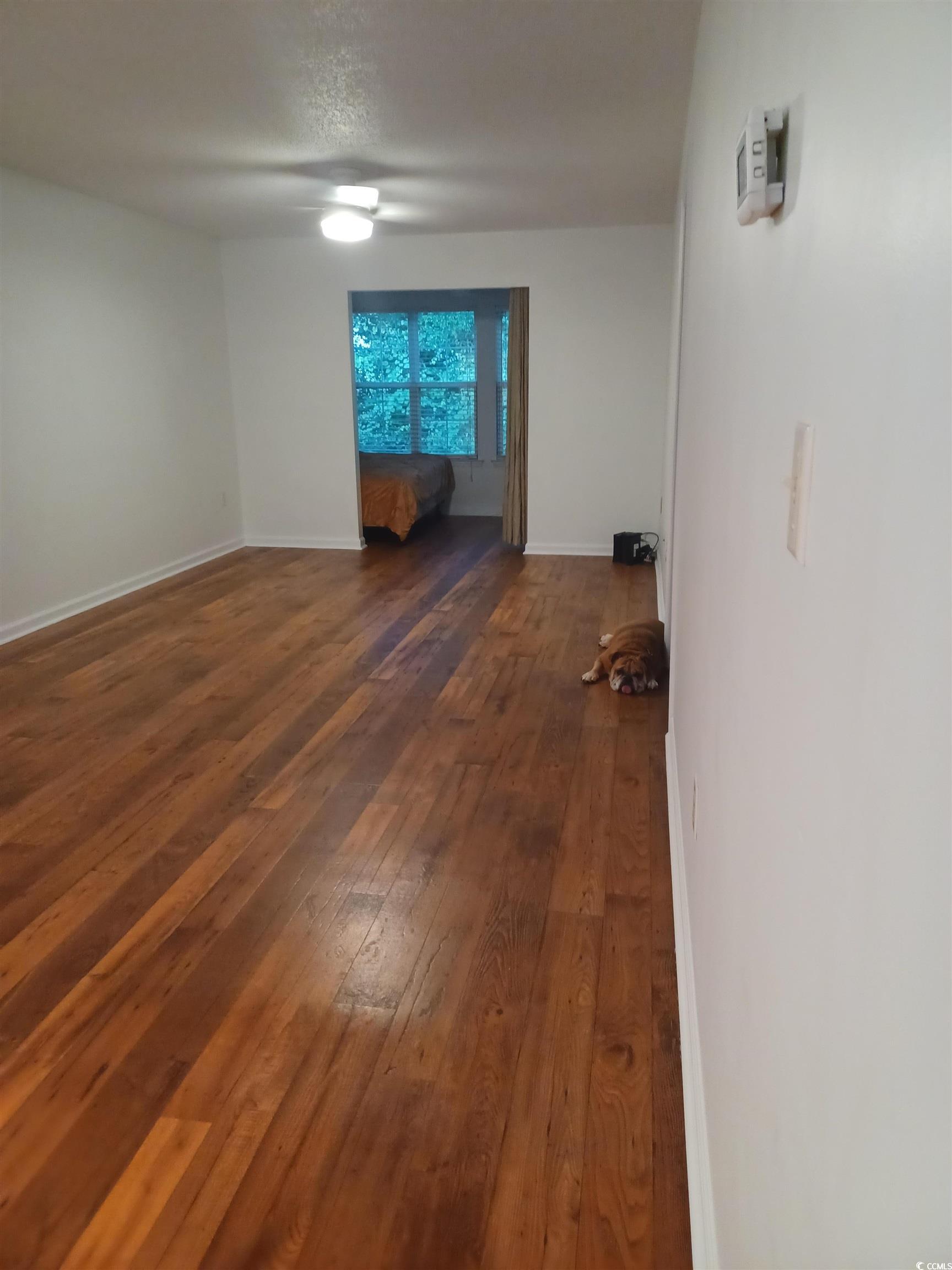 157 Egret Run Ln. Property Photo 39