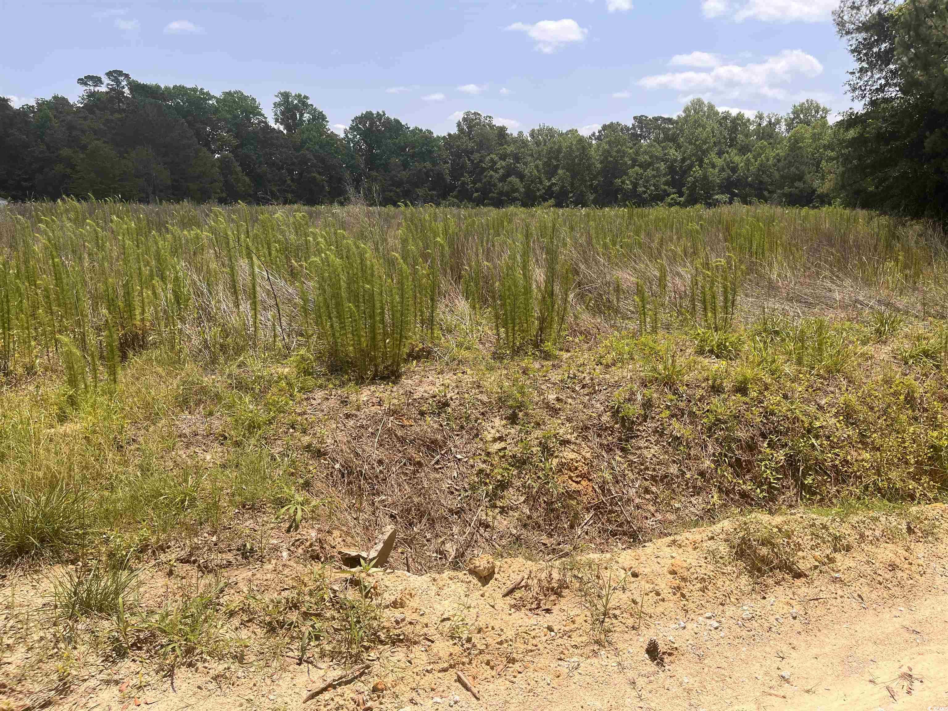 Tbd Watts Rd. Property Photo 1