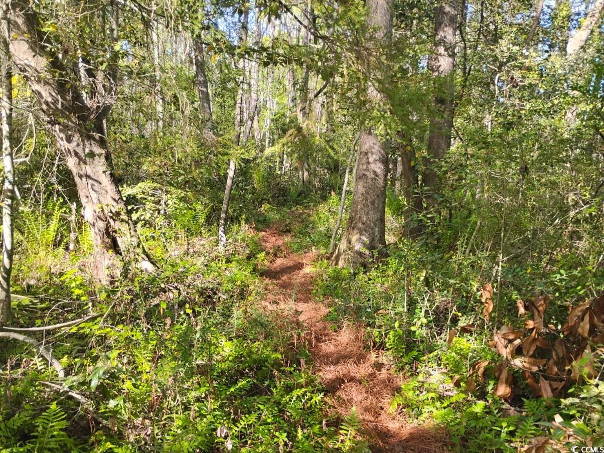 120 Yale Pl. Property Photo 28