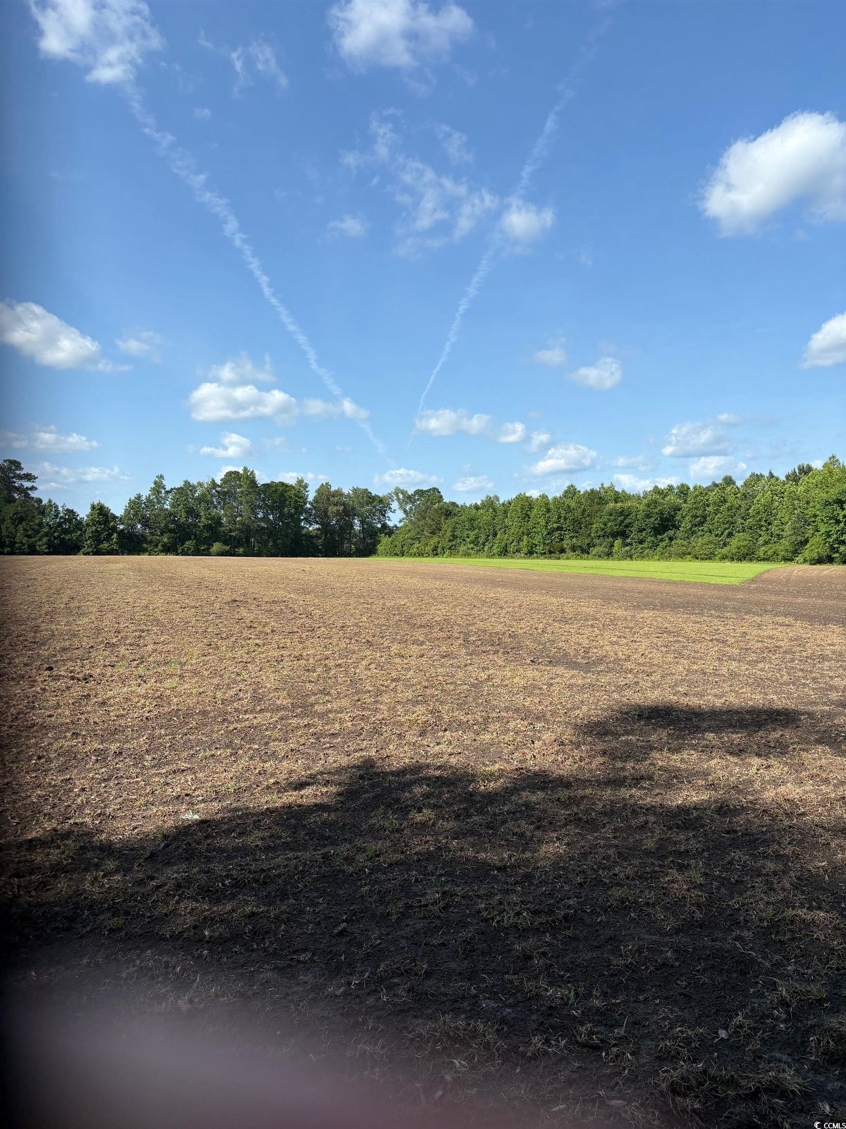8745 Swamp Fox Hwy. E Property Photo 1