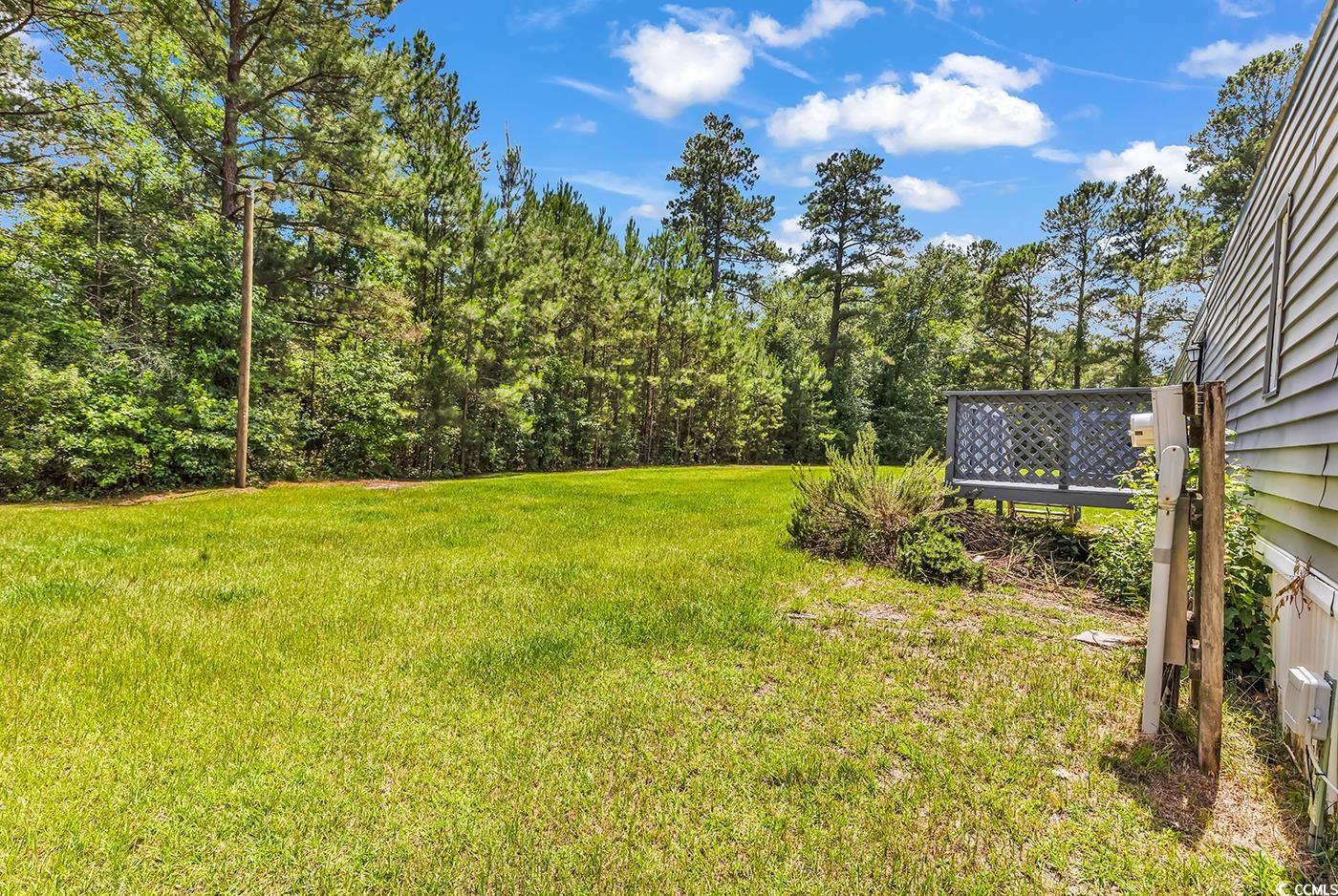 3113 Clemmons Rd. Property Photo 28