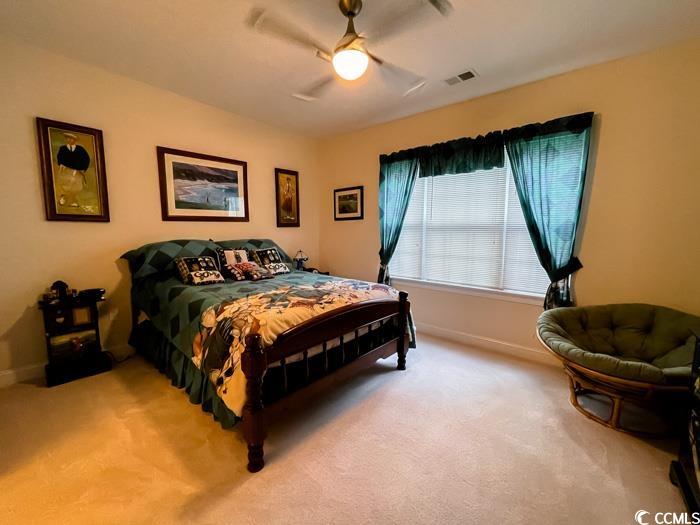 1101 Peace Pipe Pl. Property Photo 12