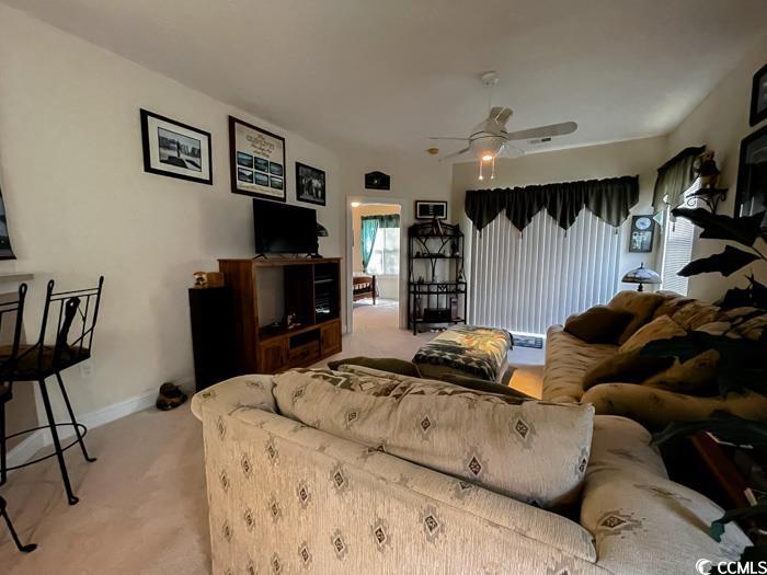 1101 Peace Pipe Pl. Property Photo 13