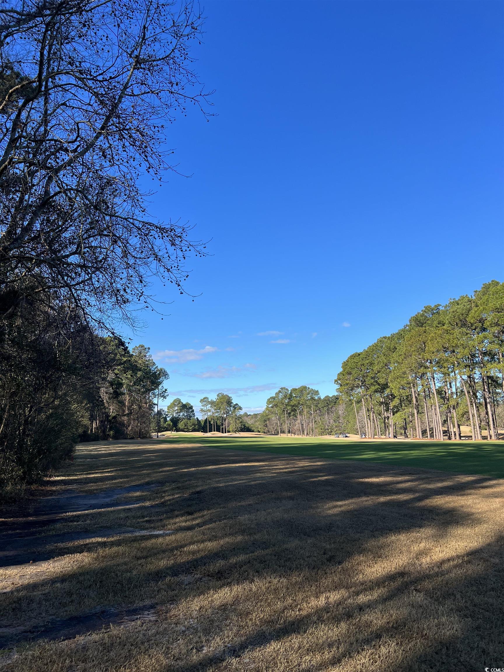 1000 Maccoa Dr. Property Photo 7