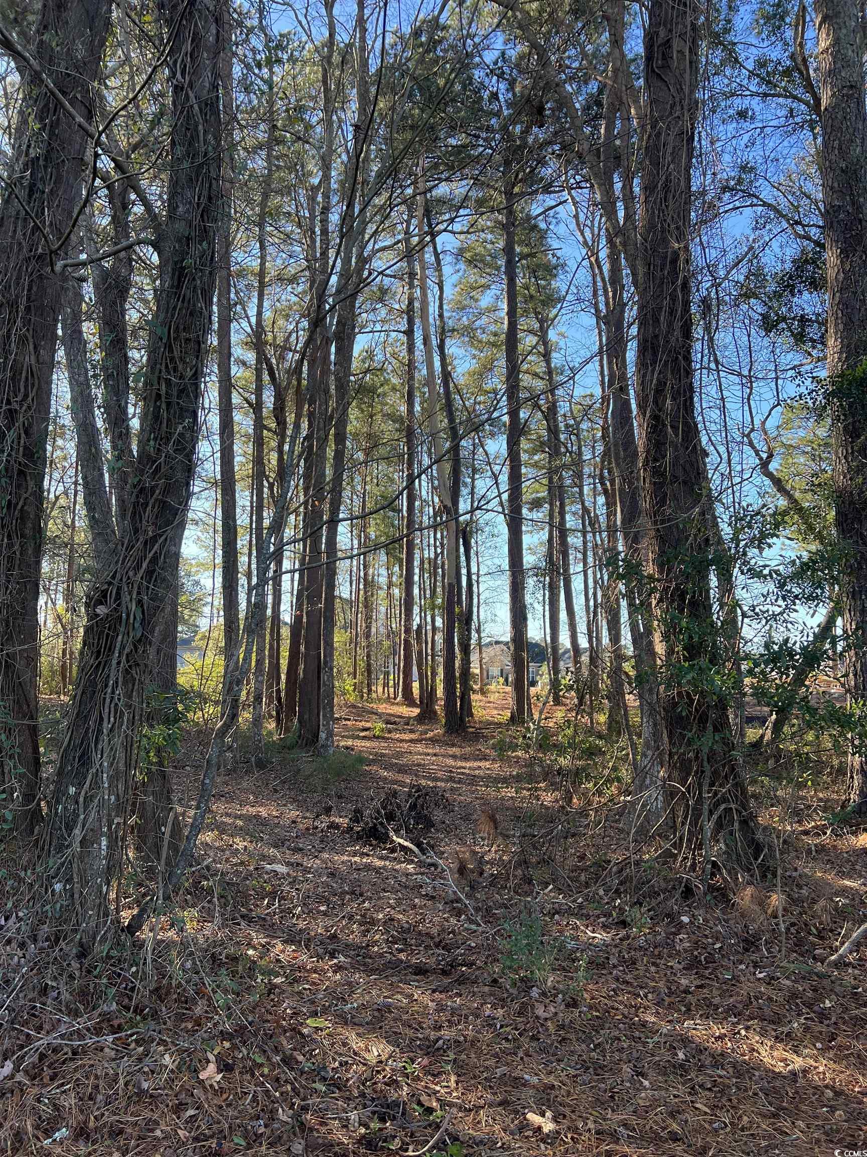 1000 Maccoa Dr. Property Photo 10