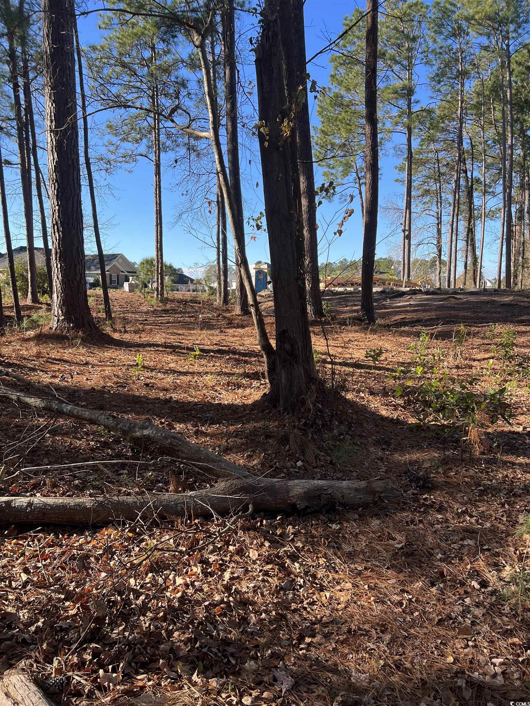 1000 Maccoa Dr. Property Photo 11