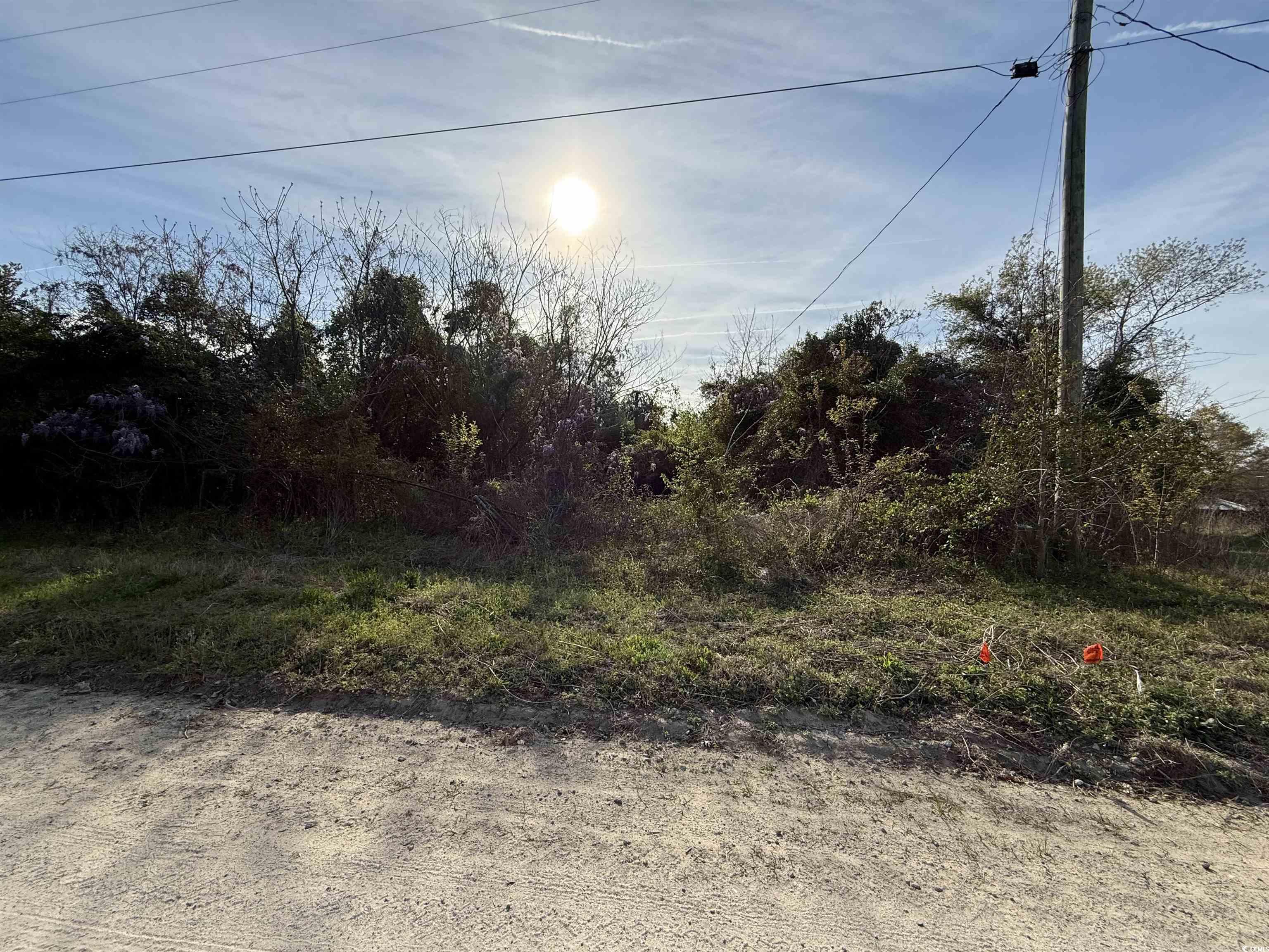 3018 Hwy 9 Property Photo 1