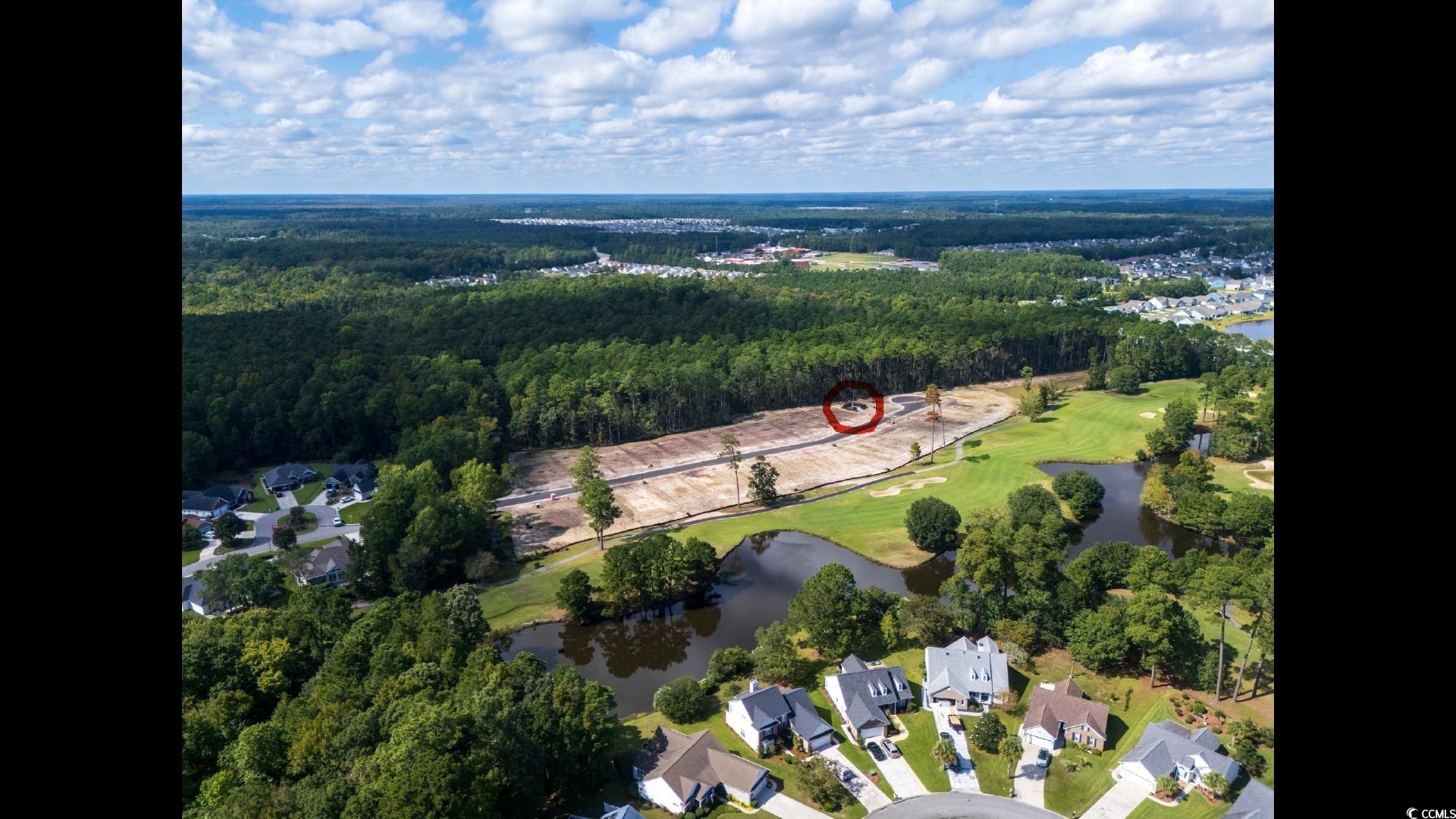 9734 Indigo Creek Blvd. Property Photo 2