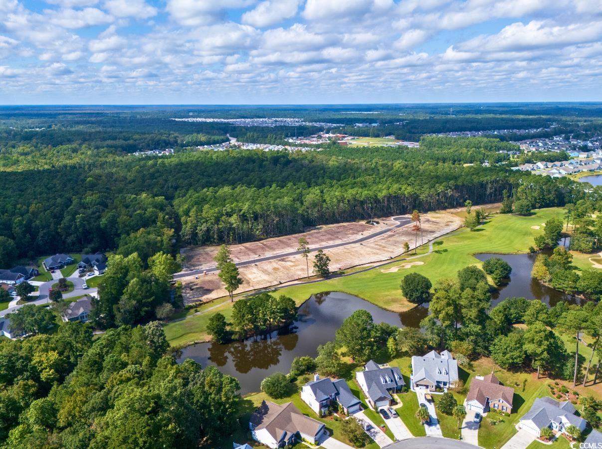 9734 Indigo Creek Blvd. Property Photo 19