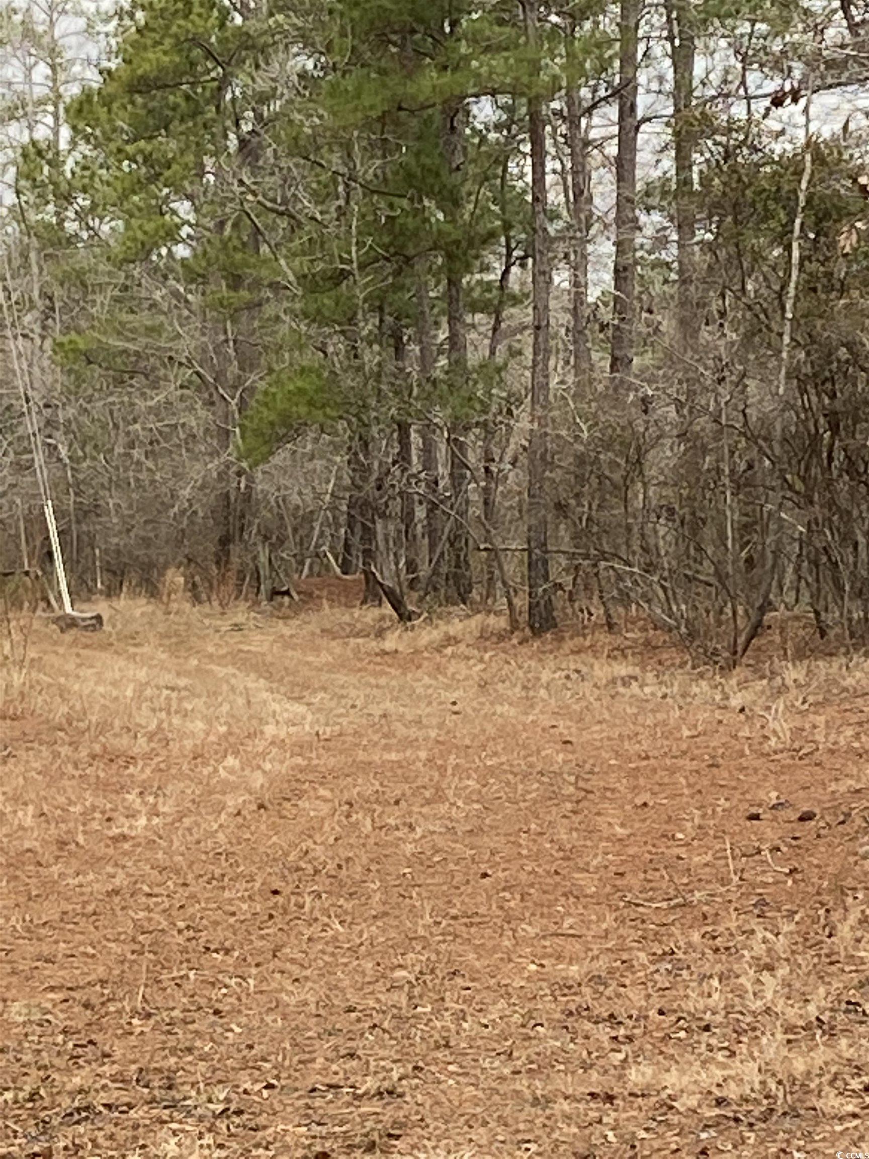 Tbd Hidden River Rd. Property Photo 3