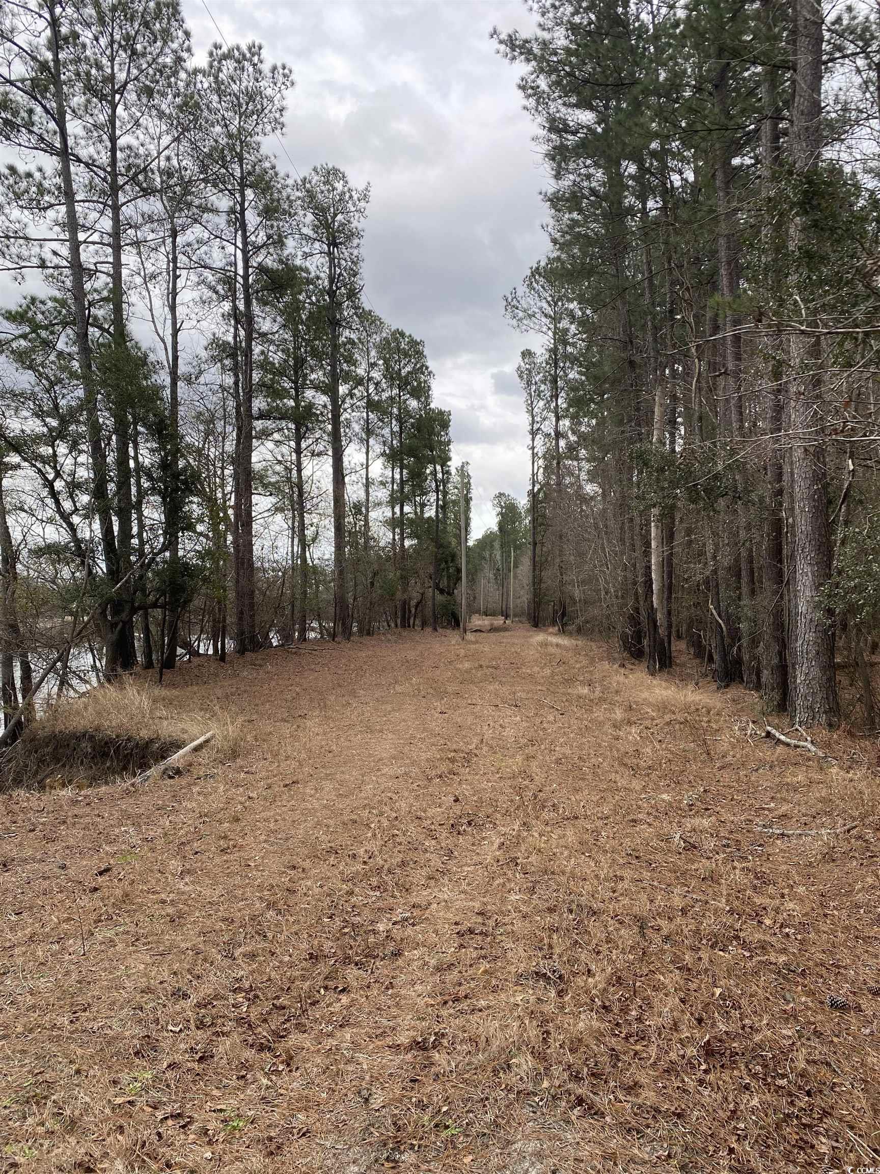 Tbd Hidden River Rd. Property Photo 5