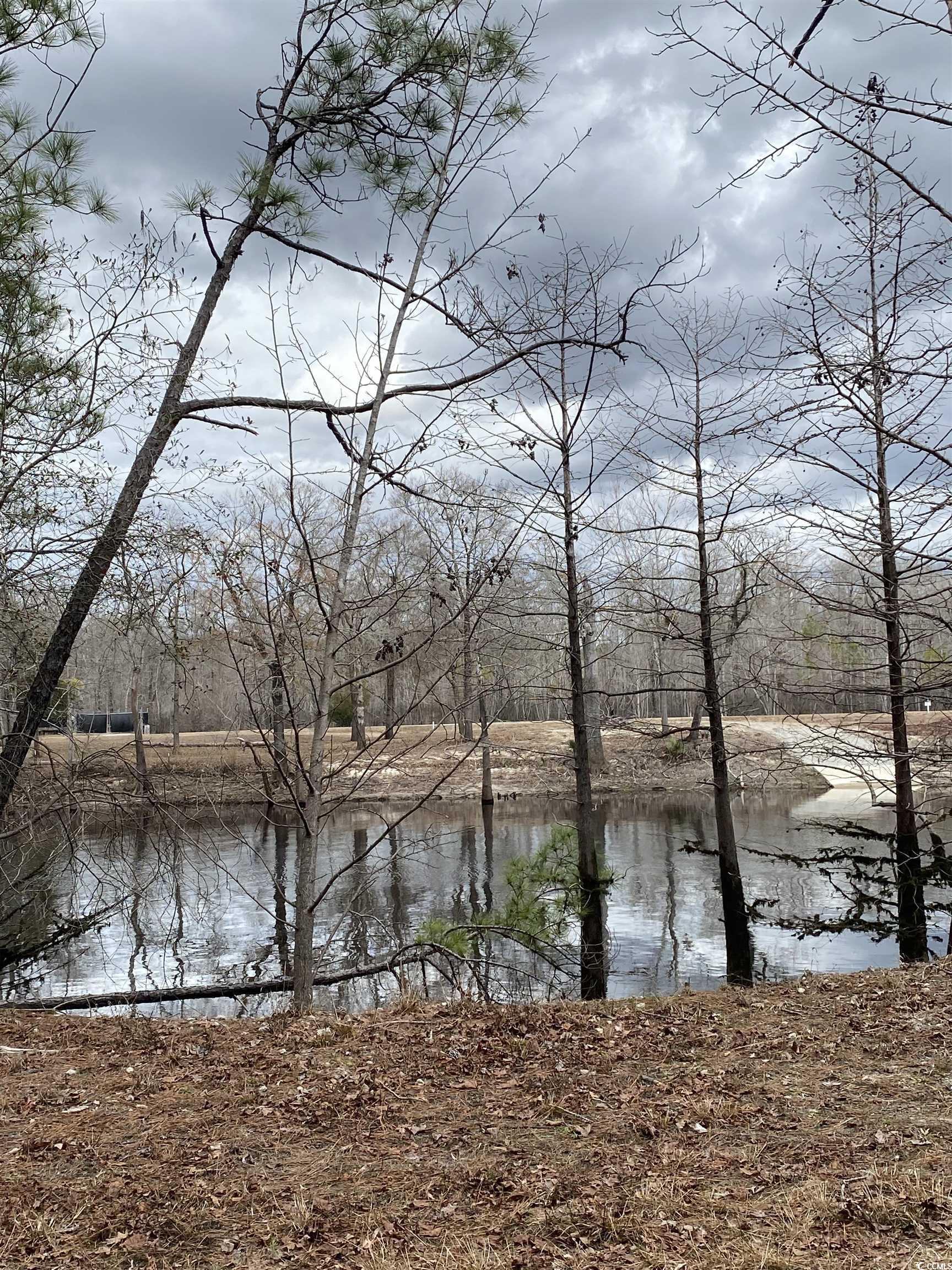 Tbd Hidden River Rd. Property Photo 6