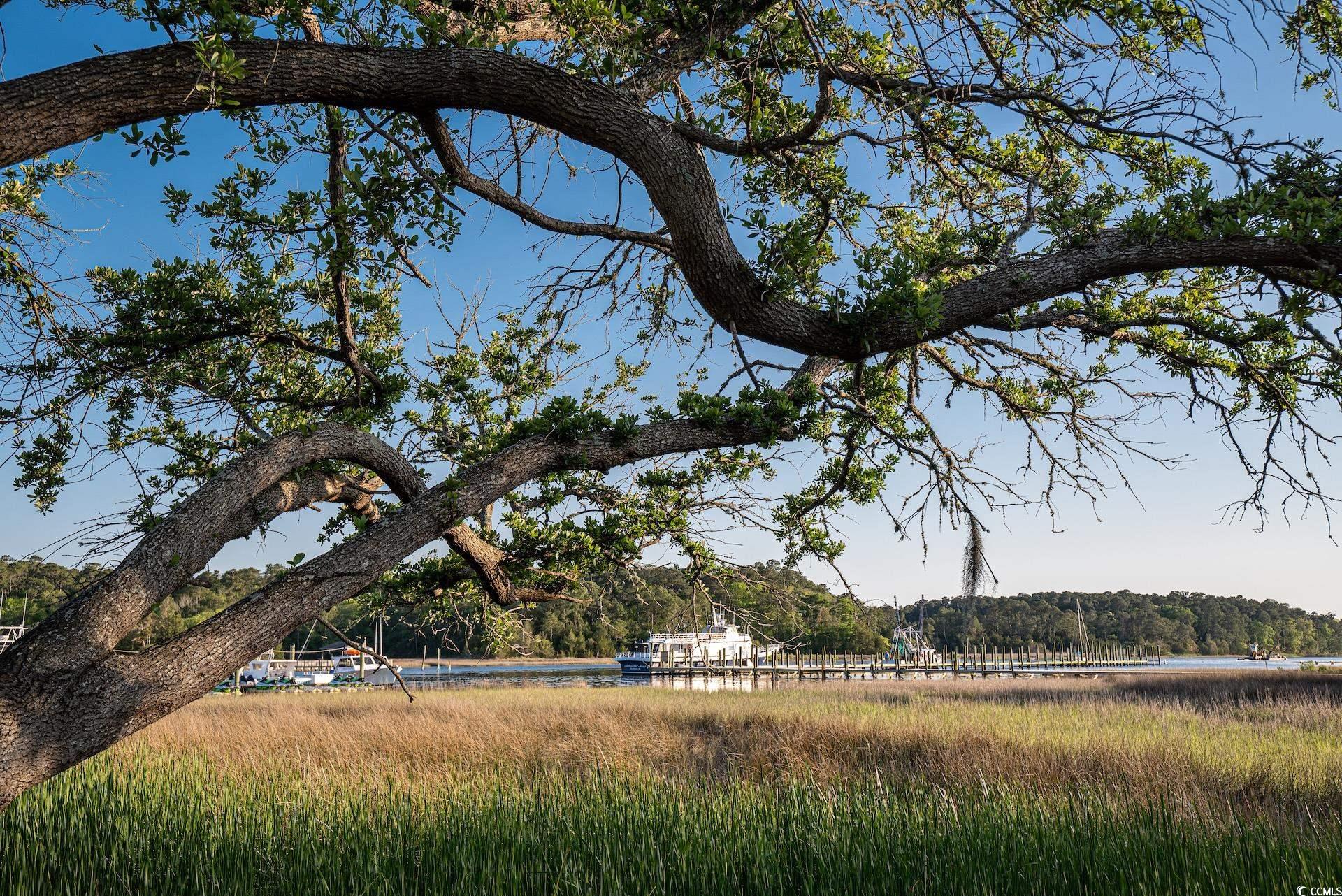 4271 Hibiscus Dr. Property Photo 35