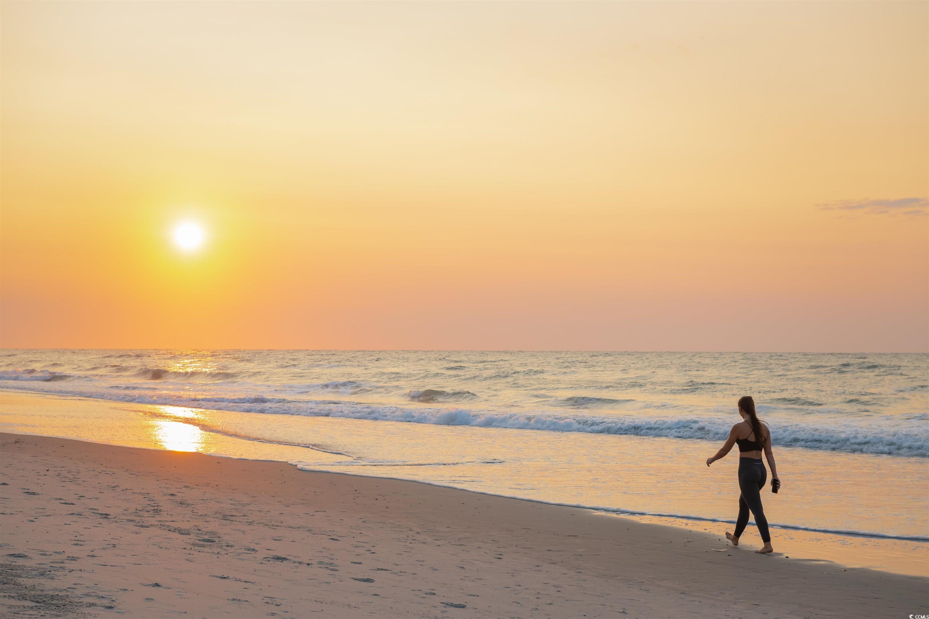 213 Westleton Dr. Property Photo 36