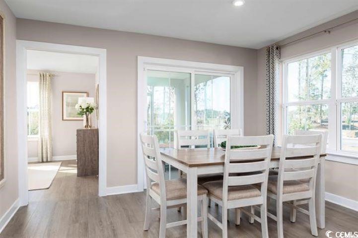 548 Ryegrass Way Property Photo 7