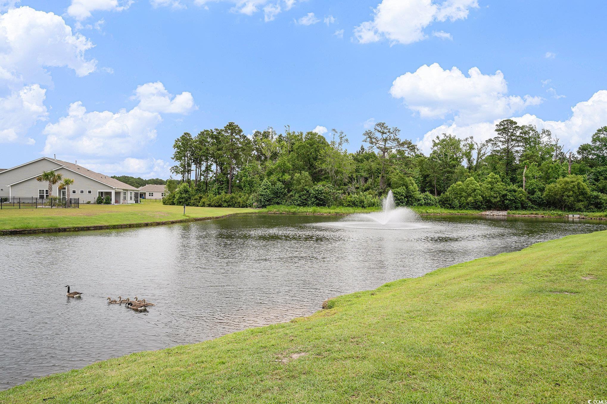 1807 Berkley Village Loop Property Photo 30