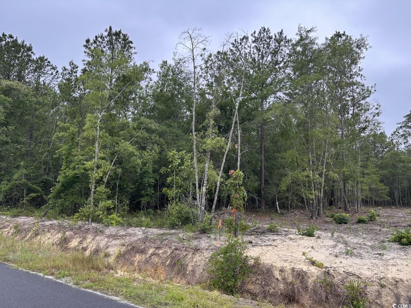 2-a Mcnabb Rd. Property Photo