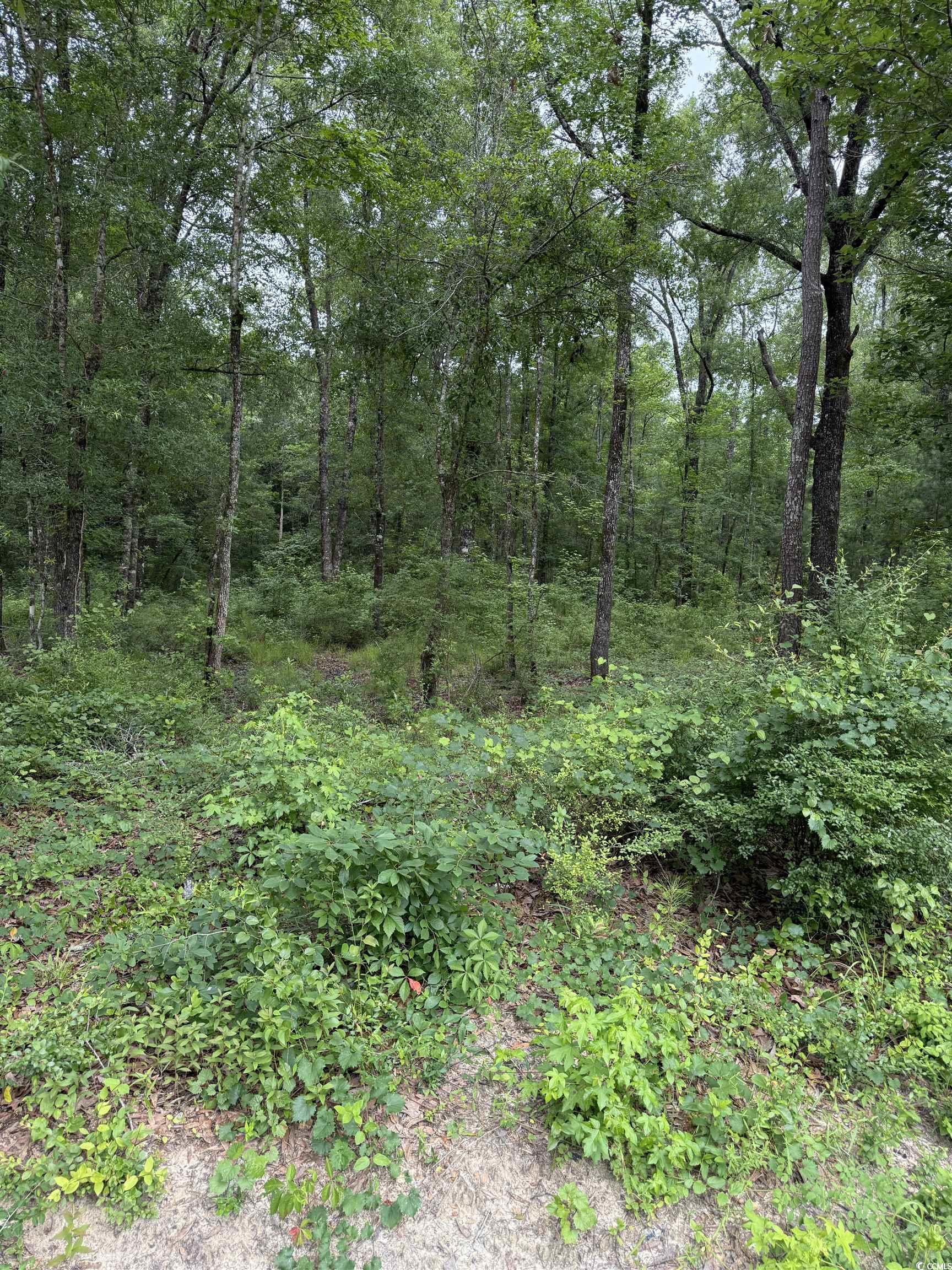 Tbd Lot 20 Duck Island Rd Property Photo 1