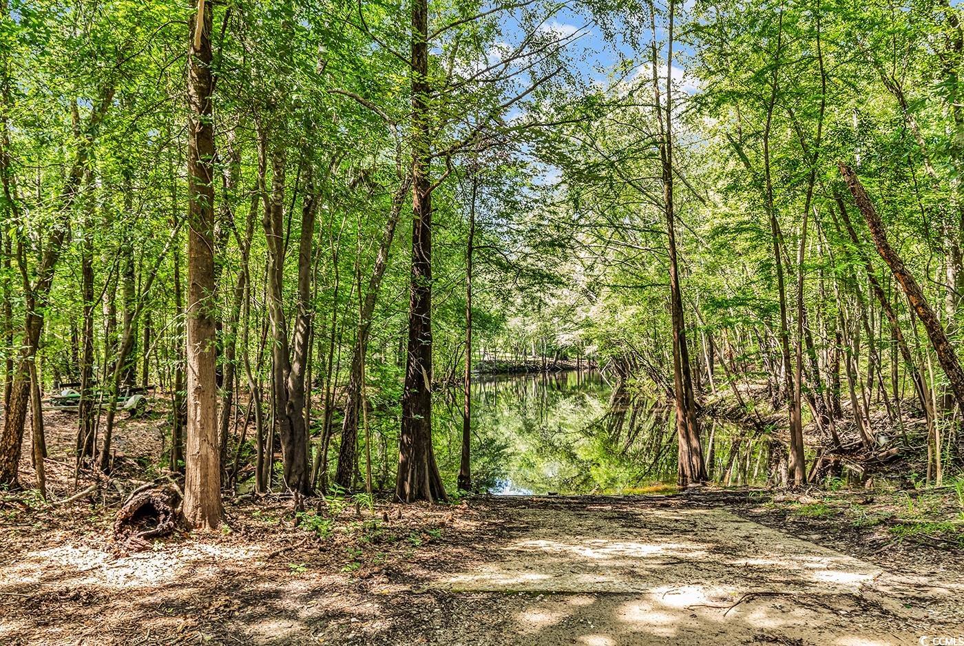 1072 Chelsey Circle Property Photo 40