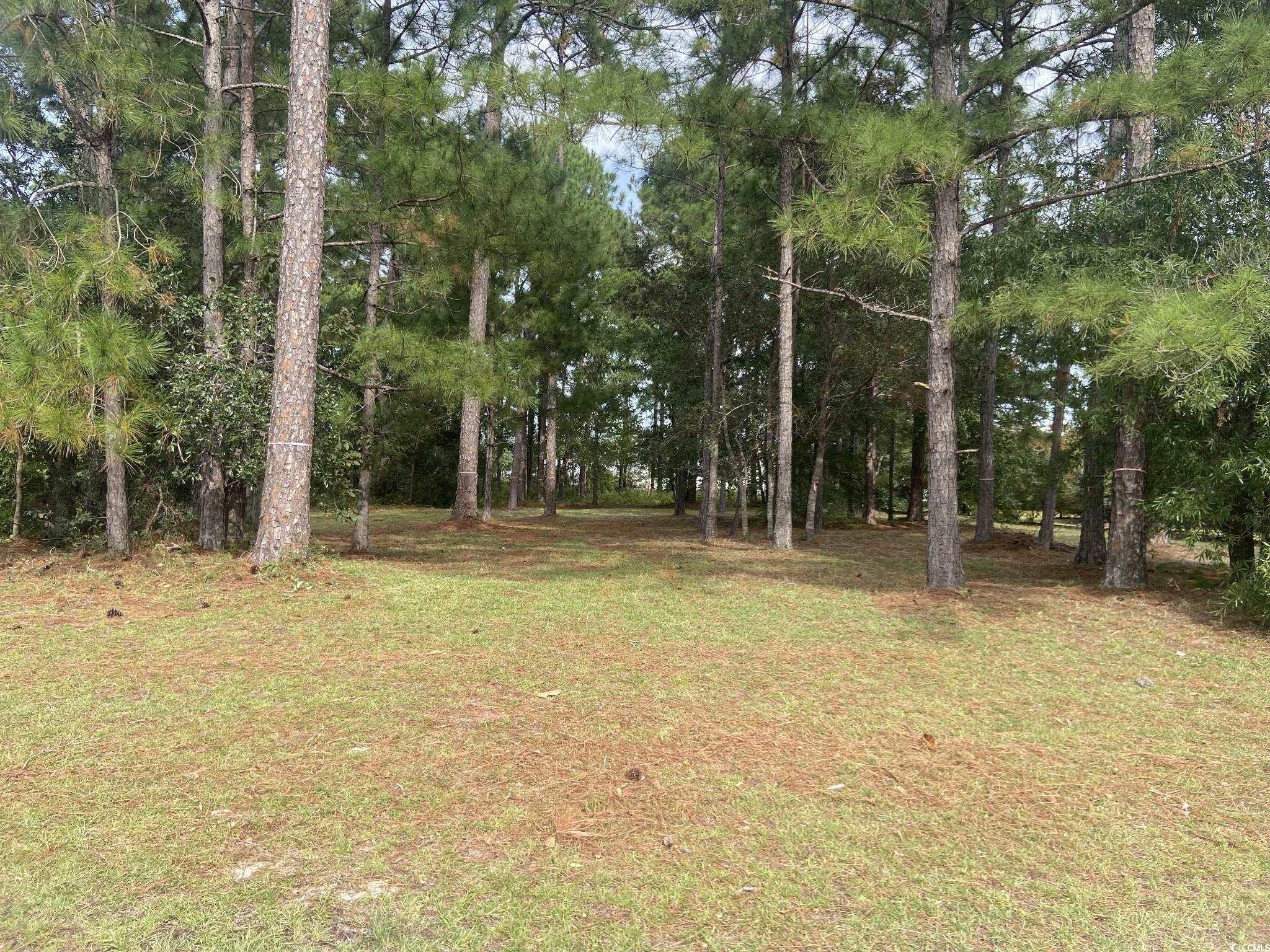 558 Oxbow Dr. Property Photo 28