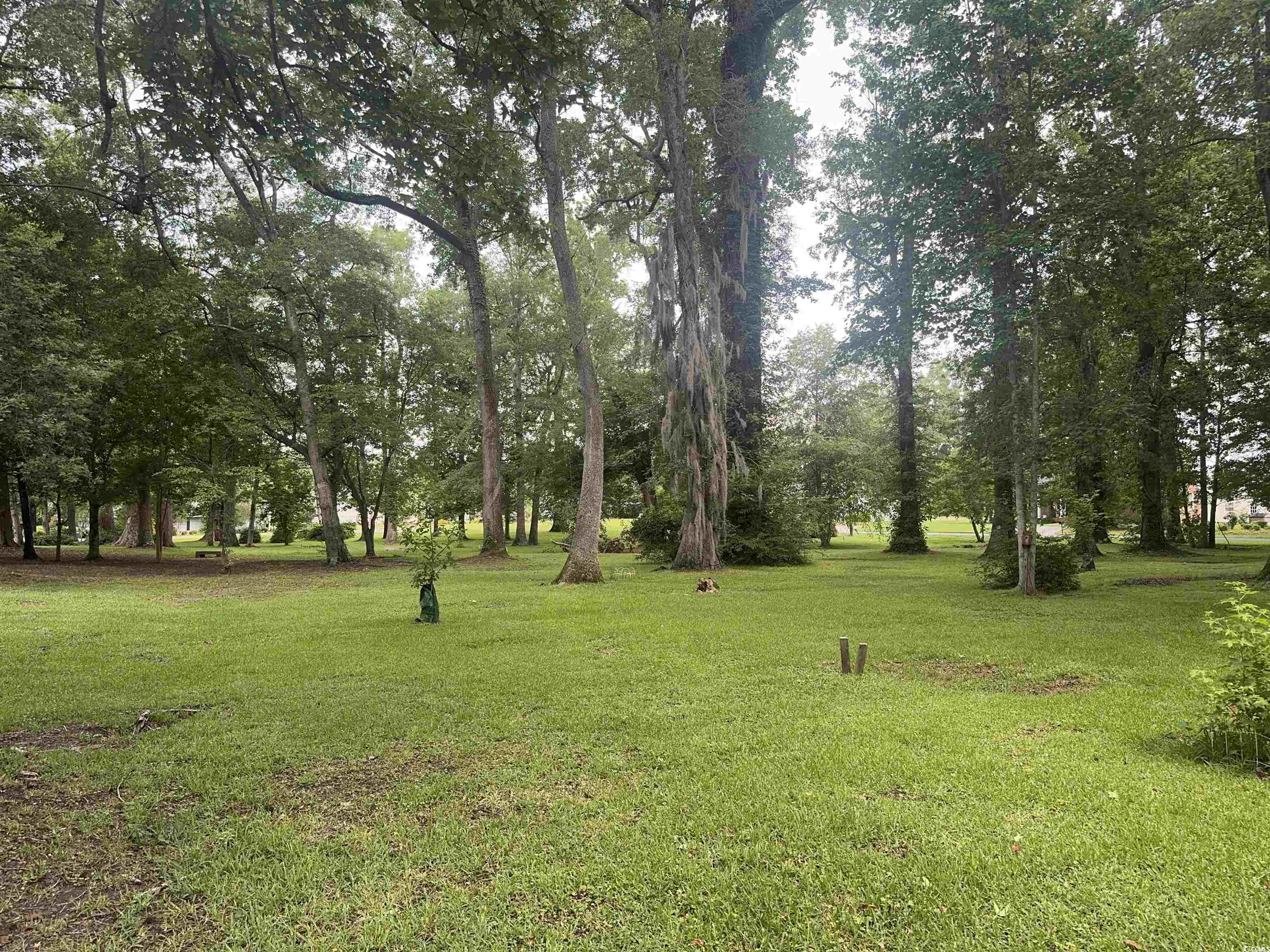 401 Harmon Park Blvd. Property Photo 35