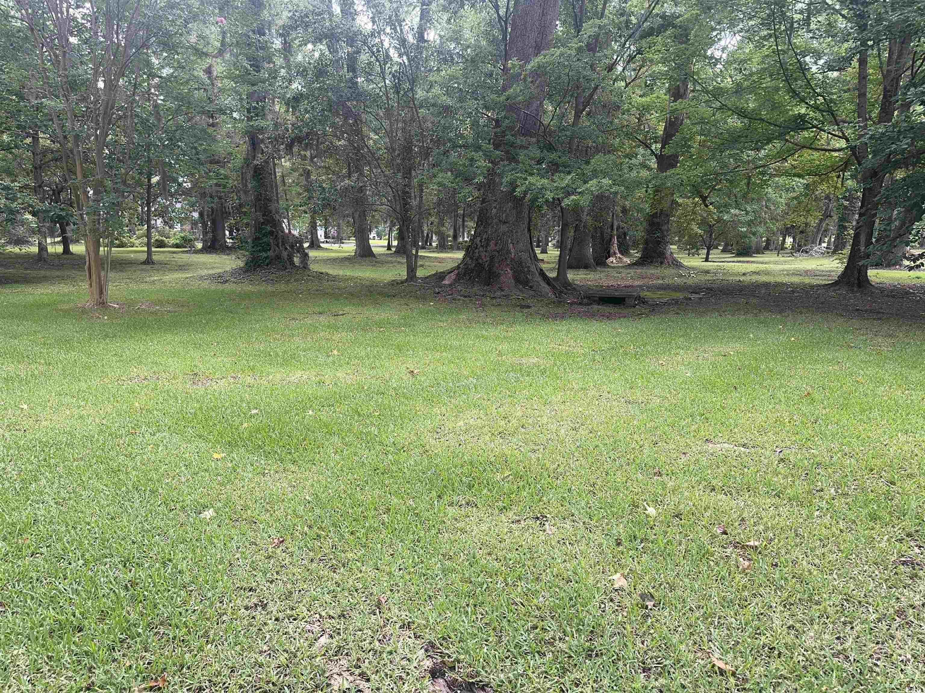 401 Harmon Park Blvd. Property Photo 36