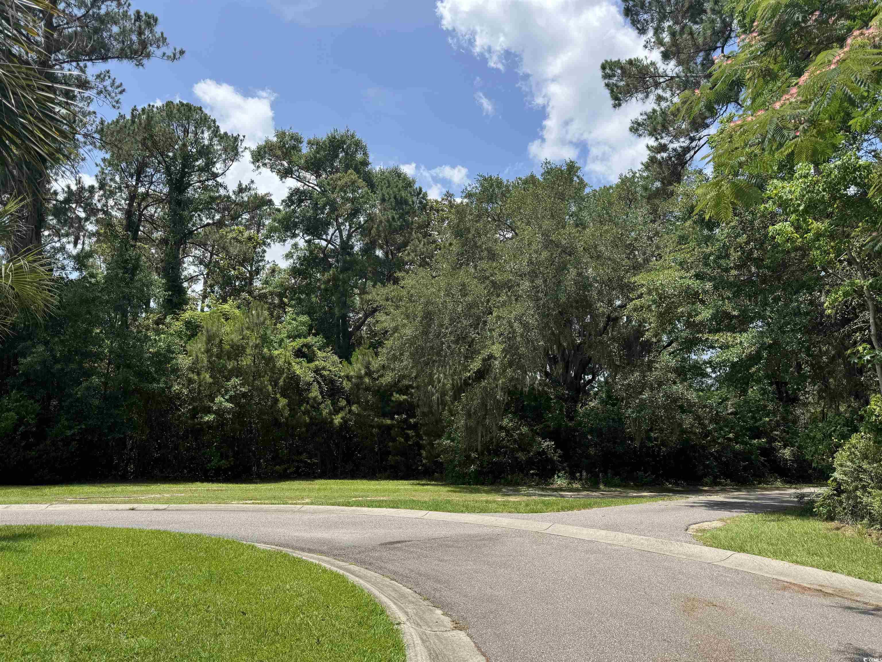 Lot 21 Oak Bay Dr. Property Photo 1